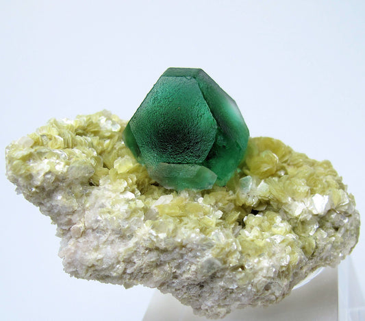 The Power of Fluorite: Your Guide to Mental Clarity