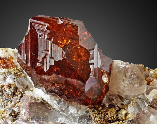 The Power of Garnet: Your Guide to Life Force Energy