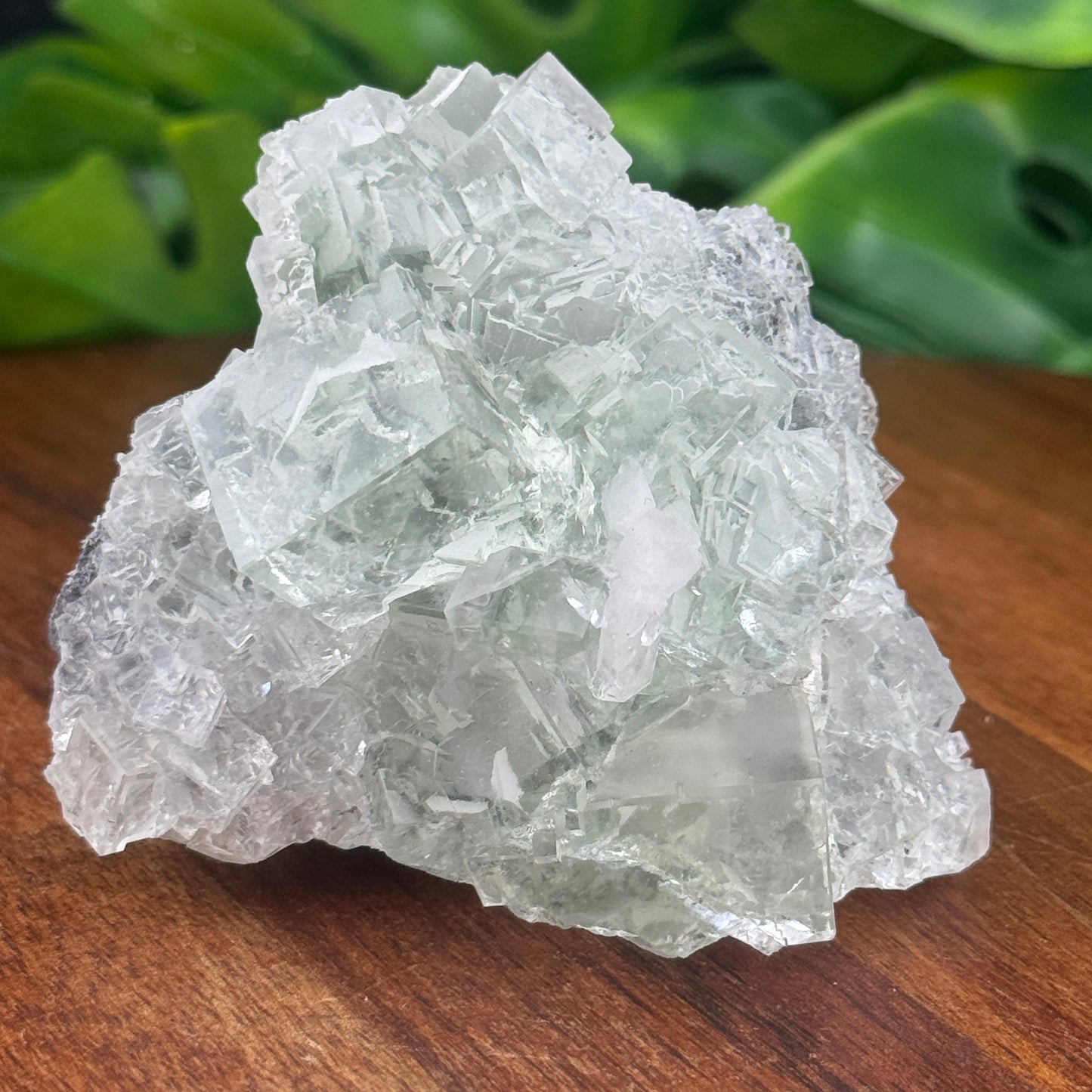 Glassy Cubic Green Fluorite Specimen