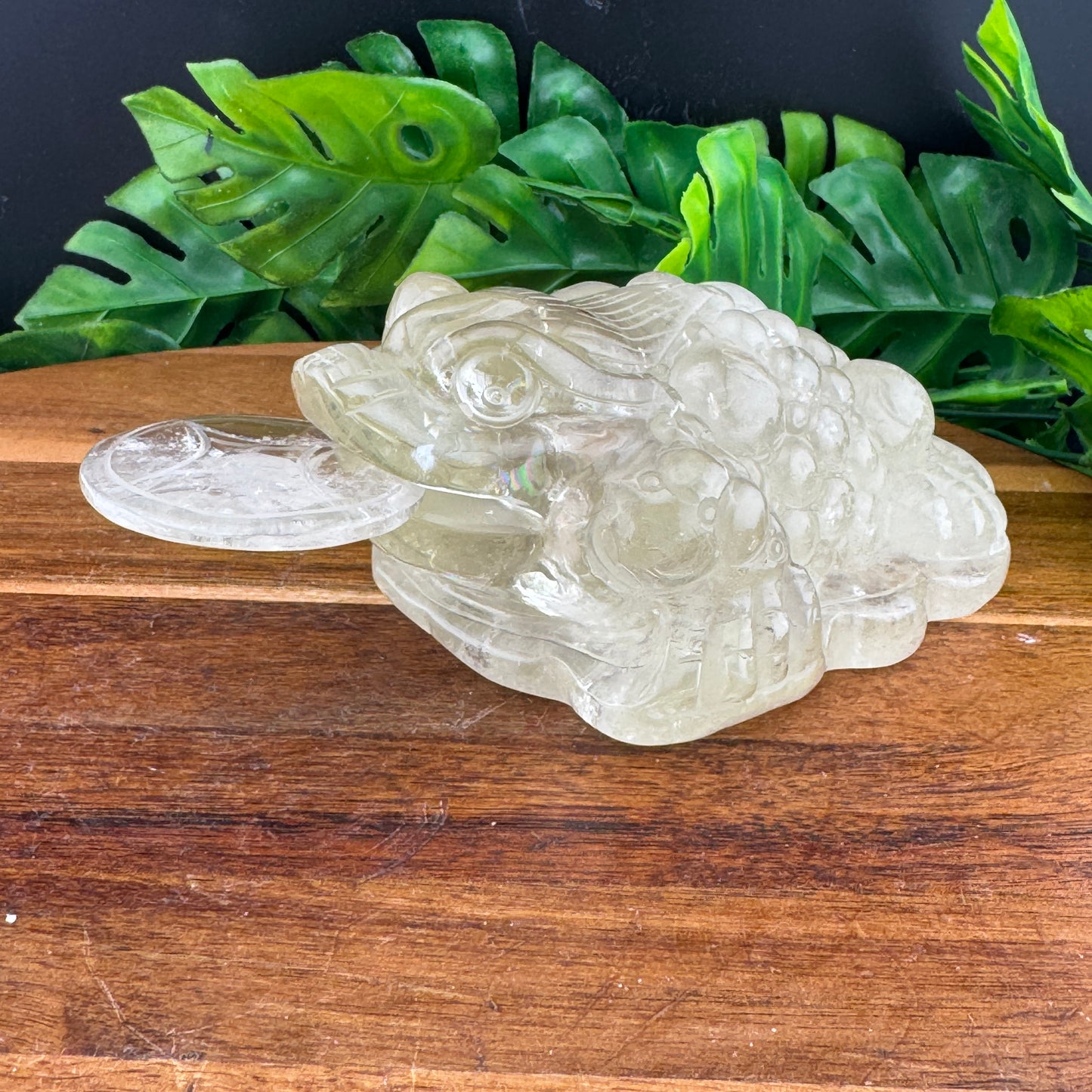 Rainbow Citrine Money Toad