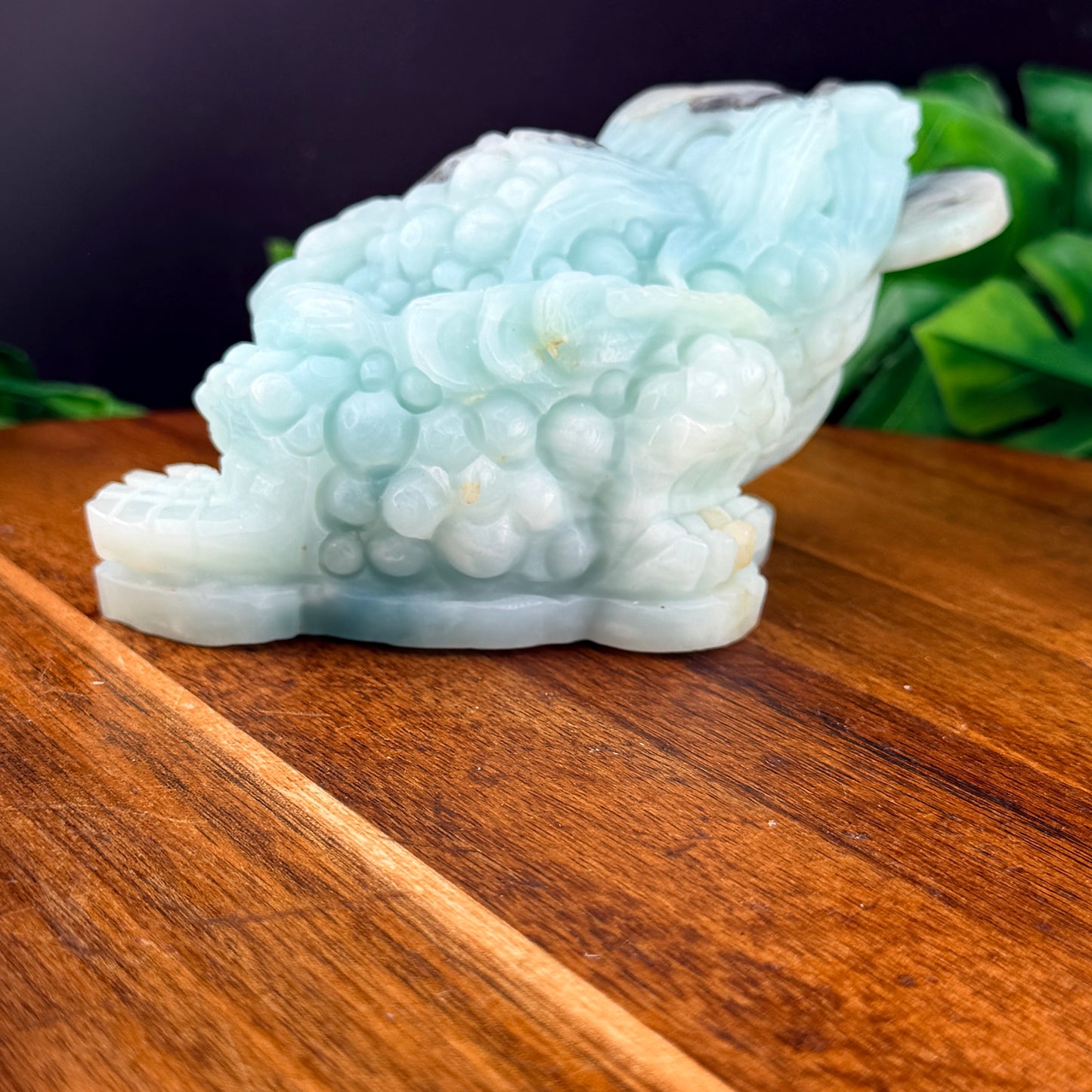 Carribean Calcite Money Toad
