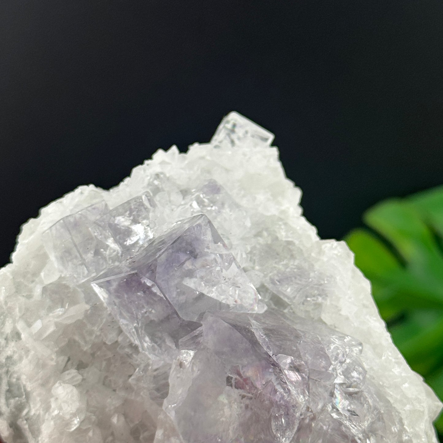 Lavender Cubic Fluorite on Quartz