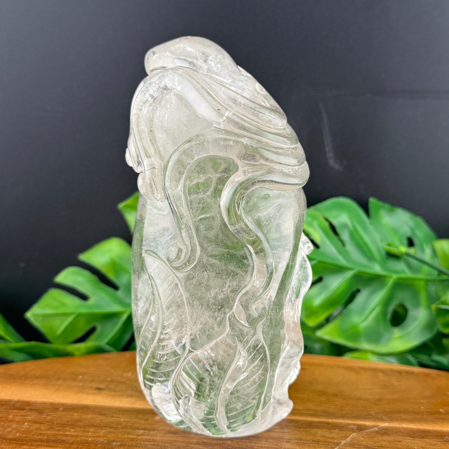 Clear Quartz Skull with Octopus Carving