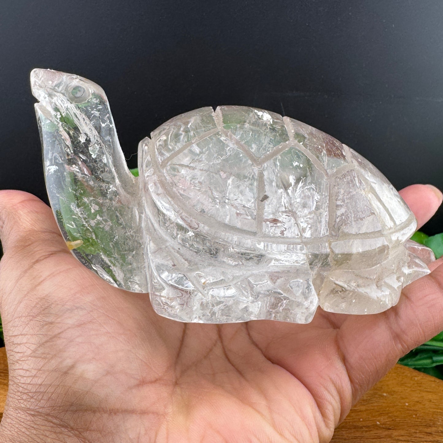 Clear Quartz Large Turtle Carving