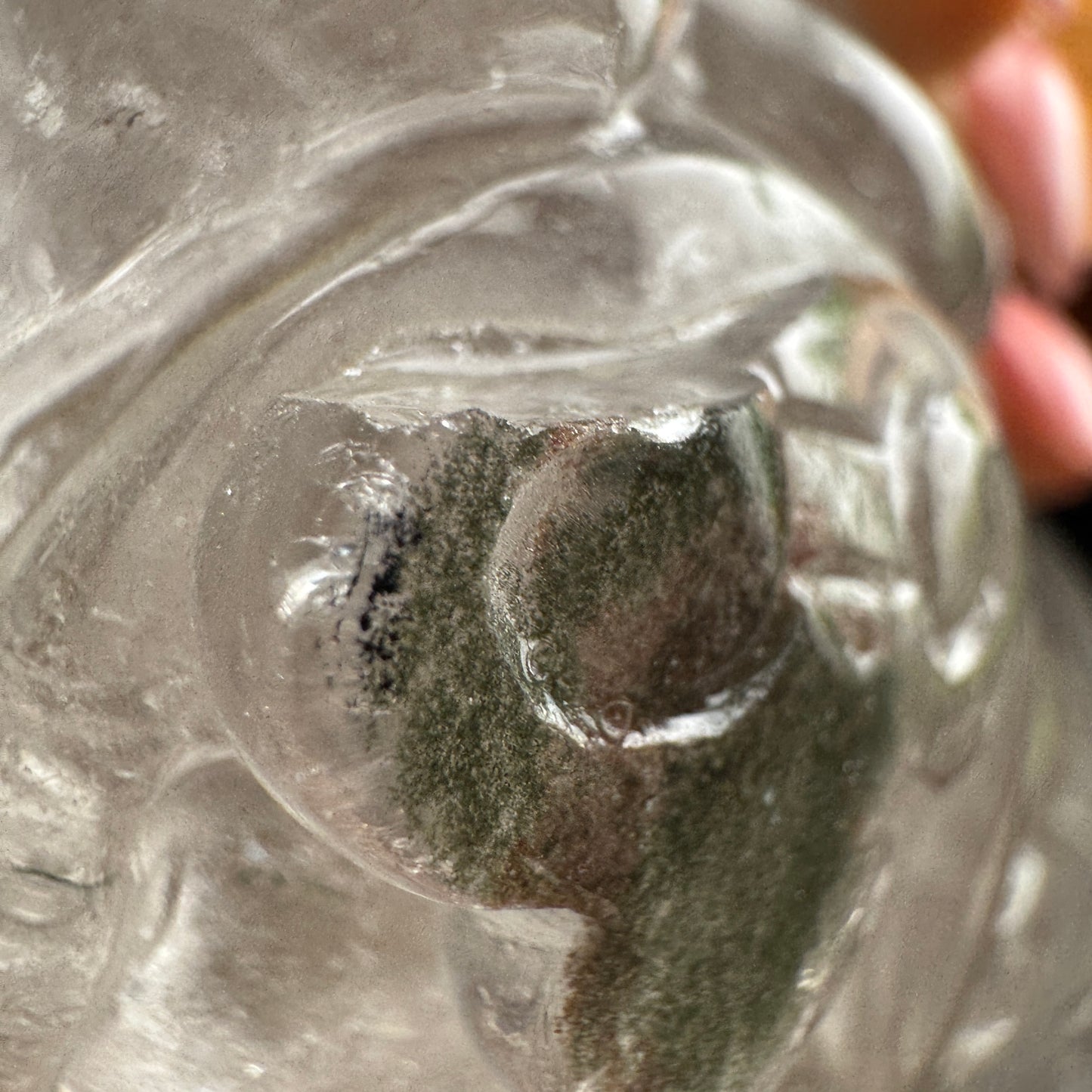 Clear Quartz Skull with Octopus Carving