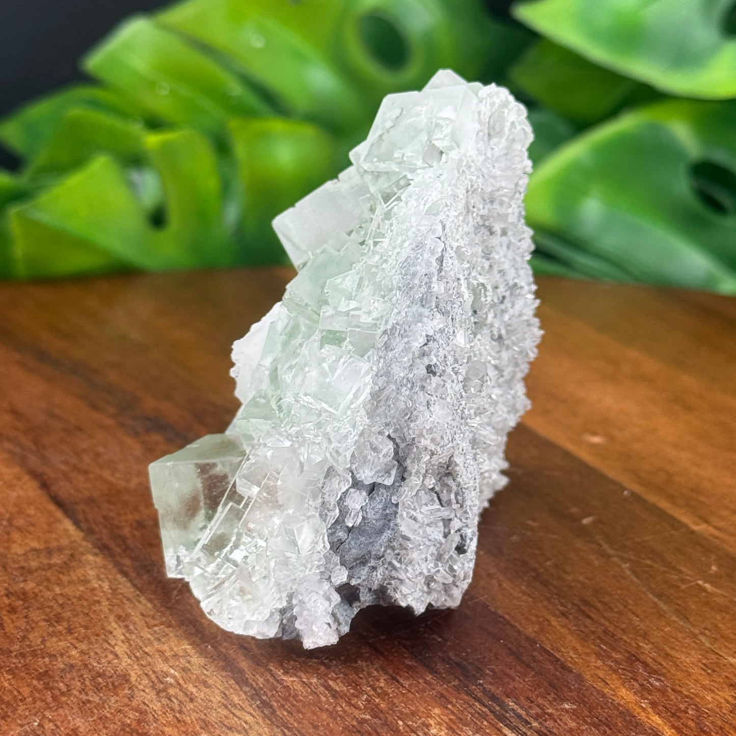 Glassy Cubic Green Fluorite Specimen