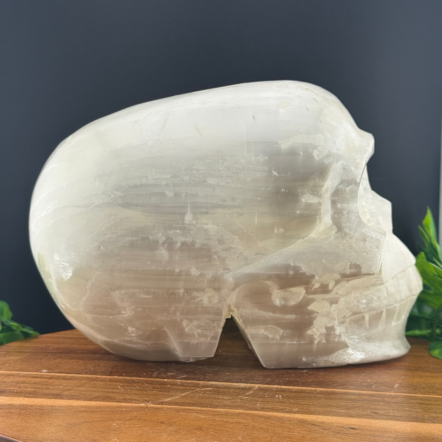 XL Satin Spar Selenite Skull