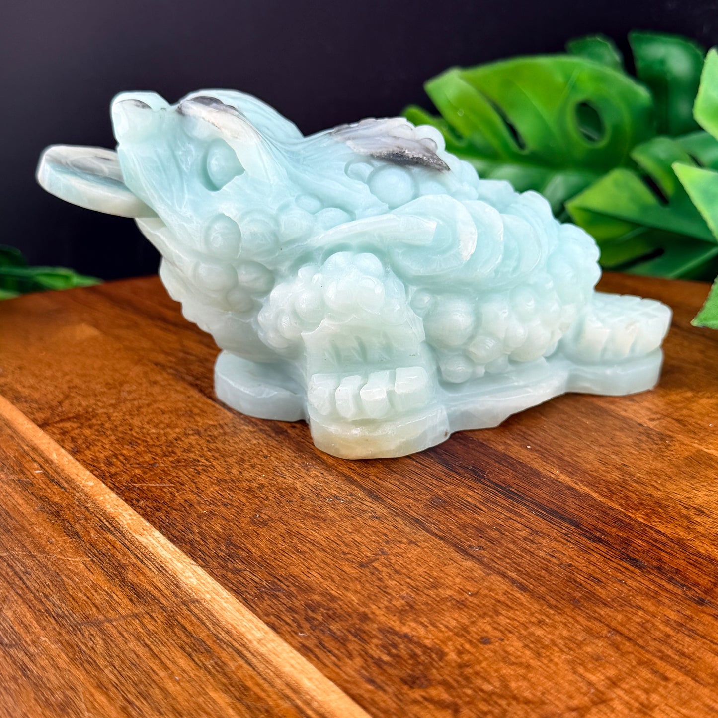 Carribean Calcite Money Toad