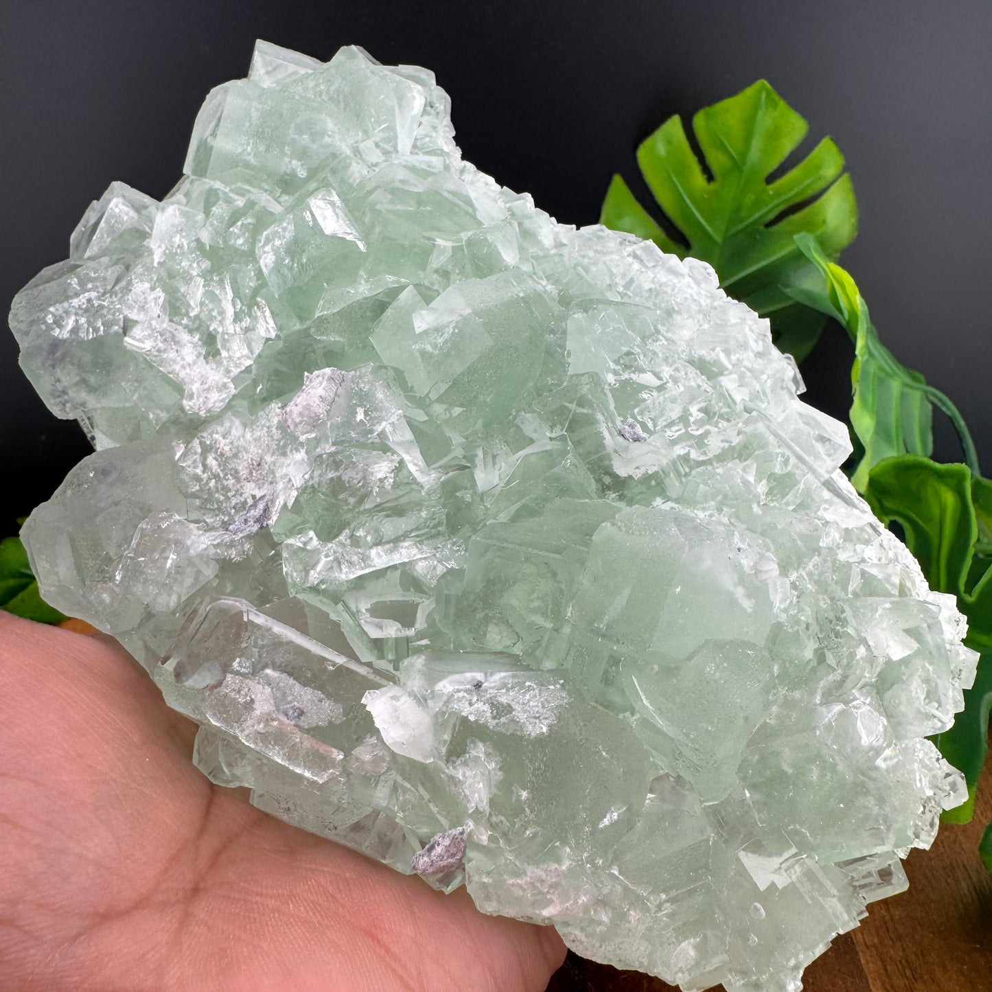 Green Glassy Cubic Sugar Fluorite Specimen