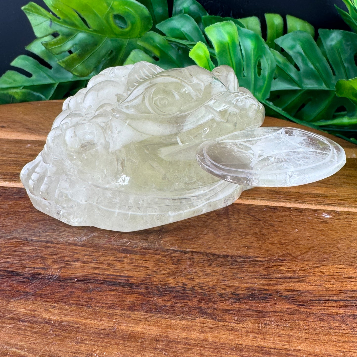 Rainbow Citrine Money Toad
