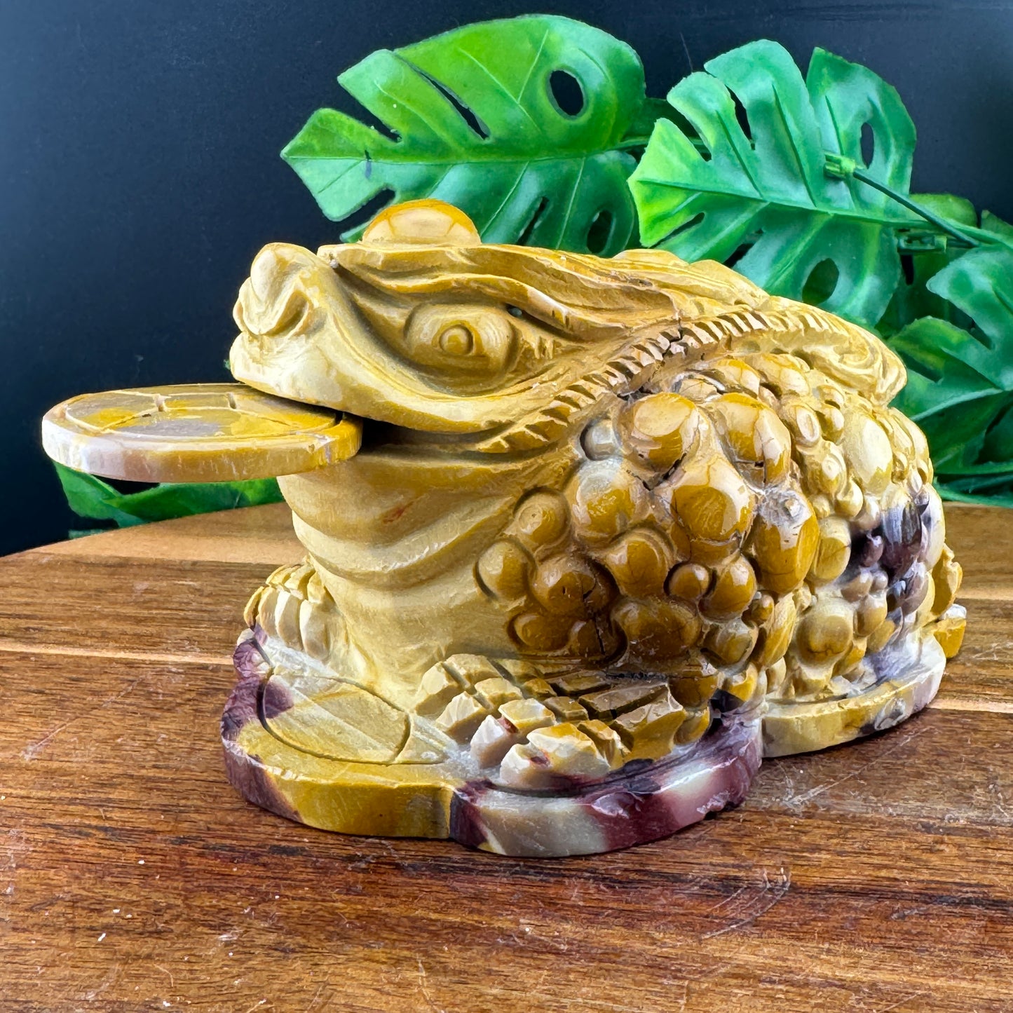 Yellow Mookaite Money Toad