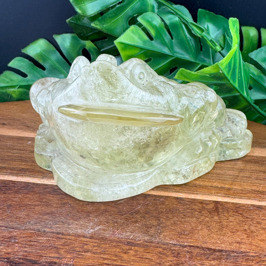 HT Citrine Money Toad