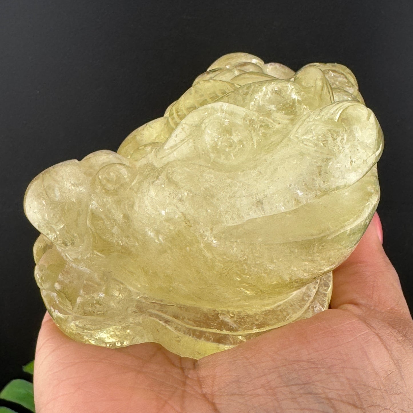 HT Citrine Money Toad