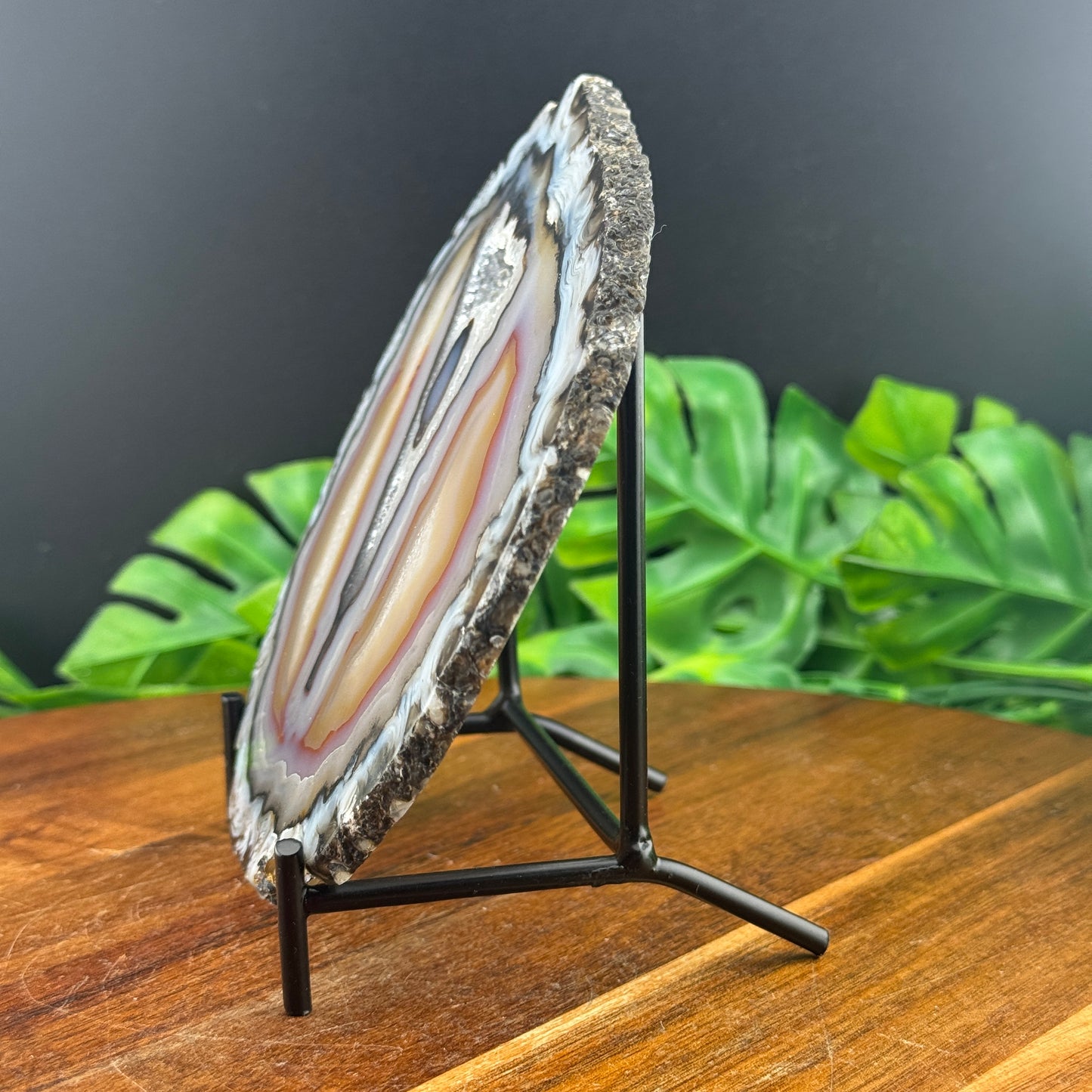 Beautiful Agate Geode Slice with Stand