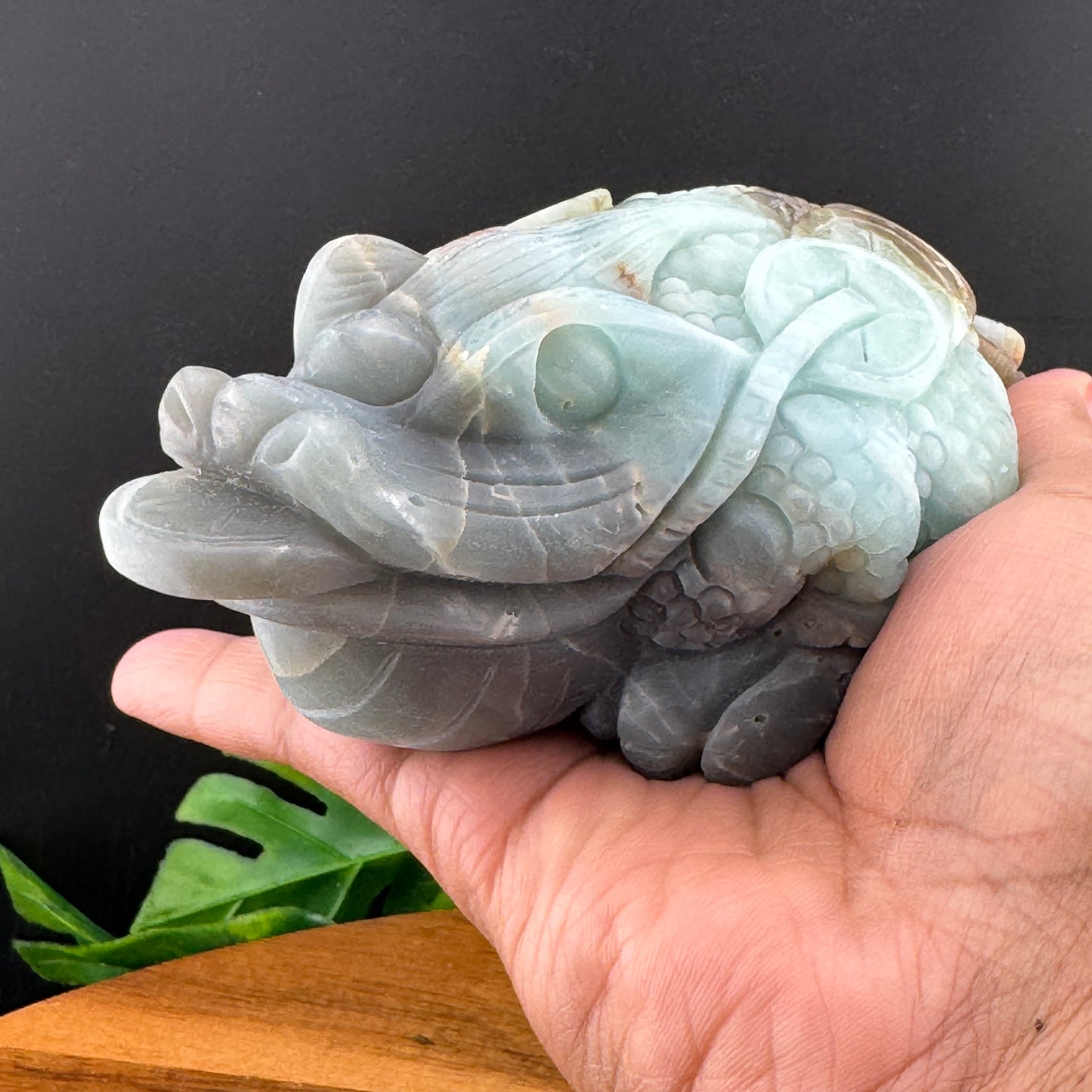 Amazonite Money Toad