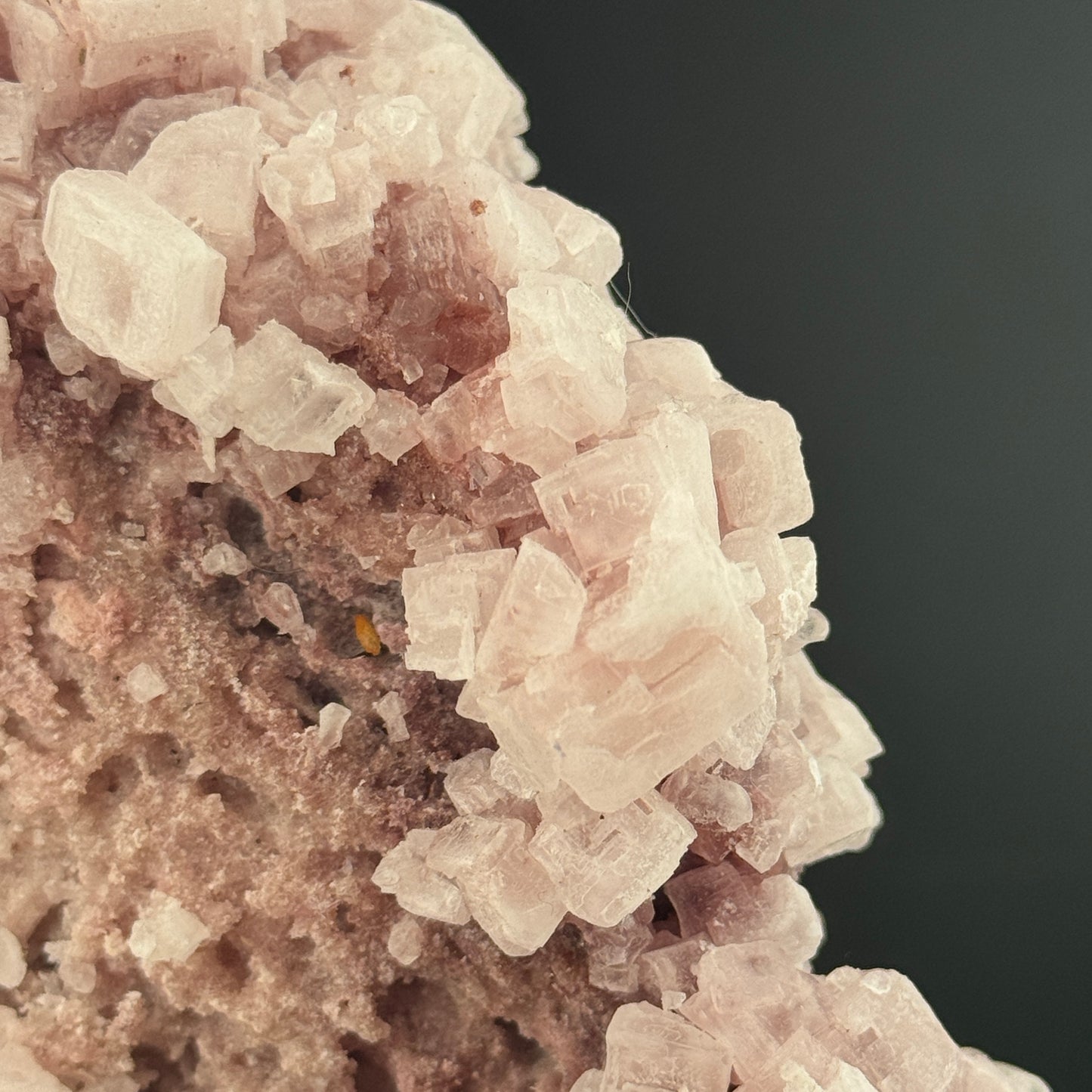 Rose Pink Halite