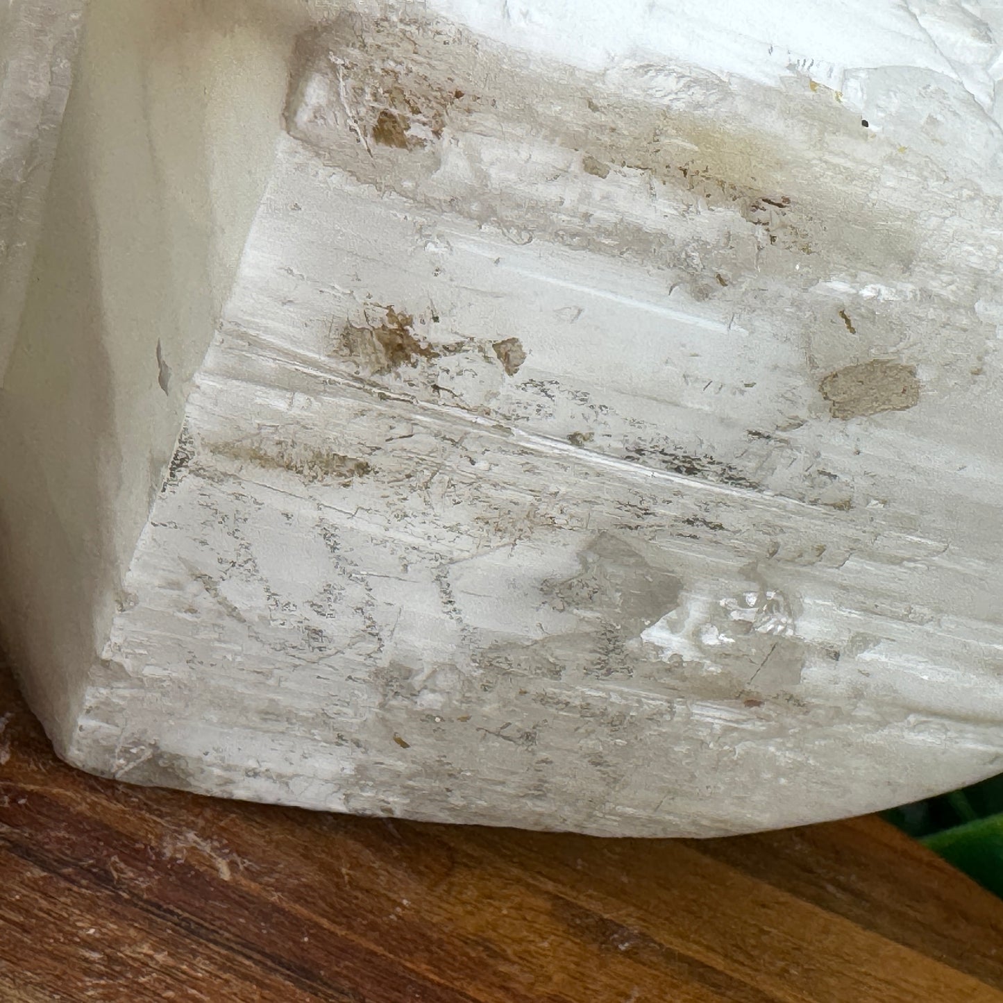XL Satin Spar Selenite Skull
