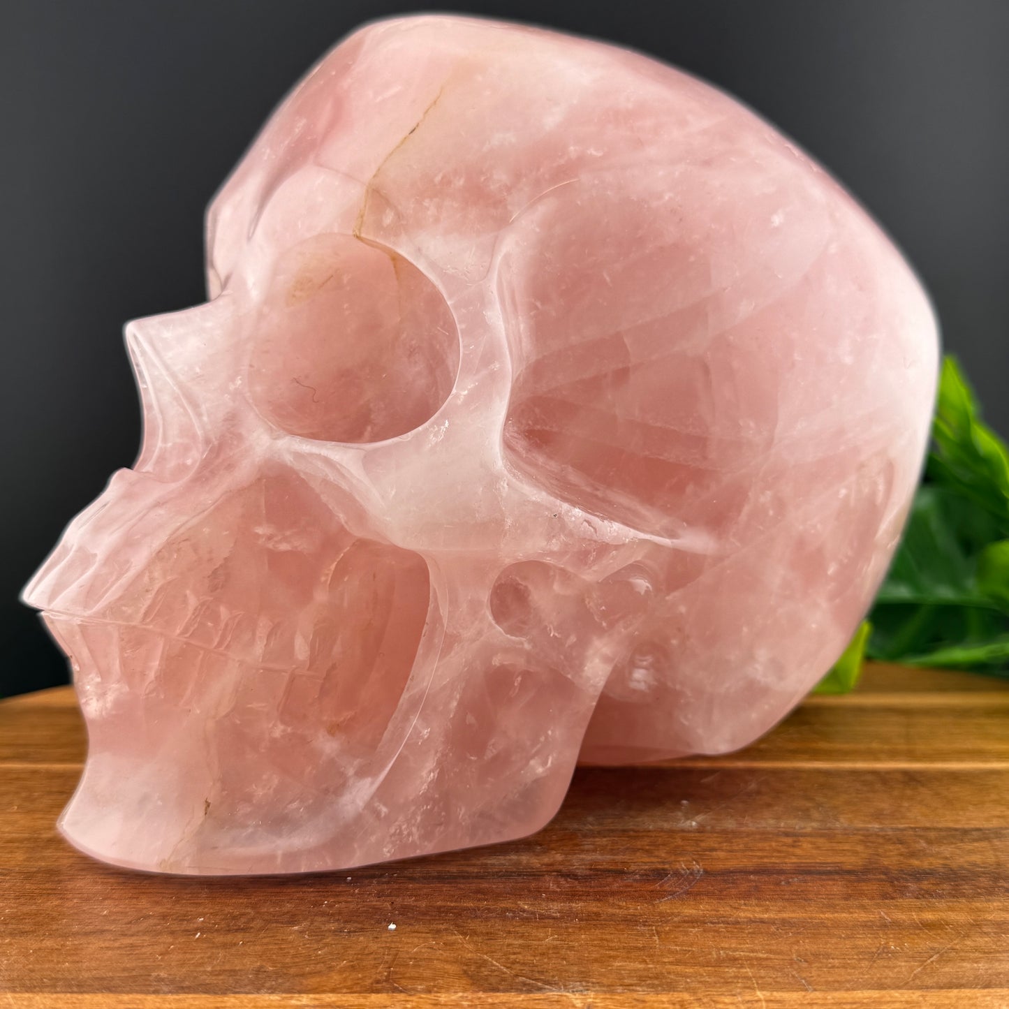 XL Rose Quartz Skull