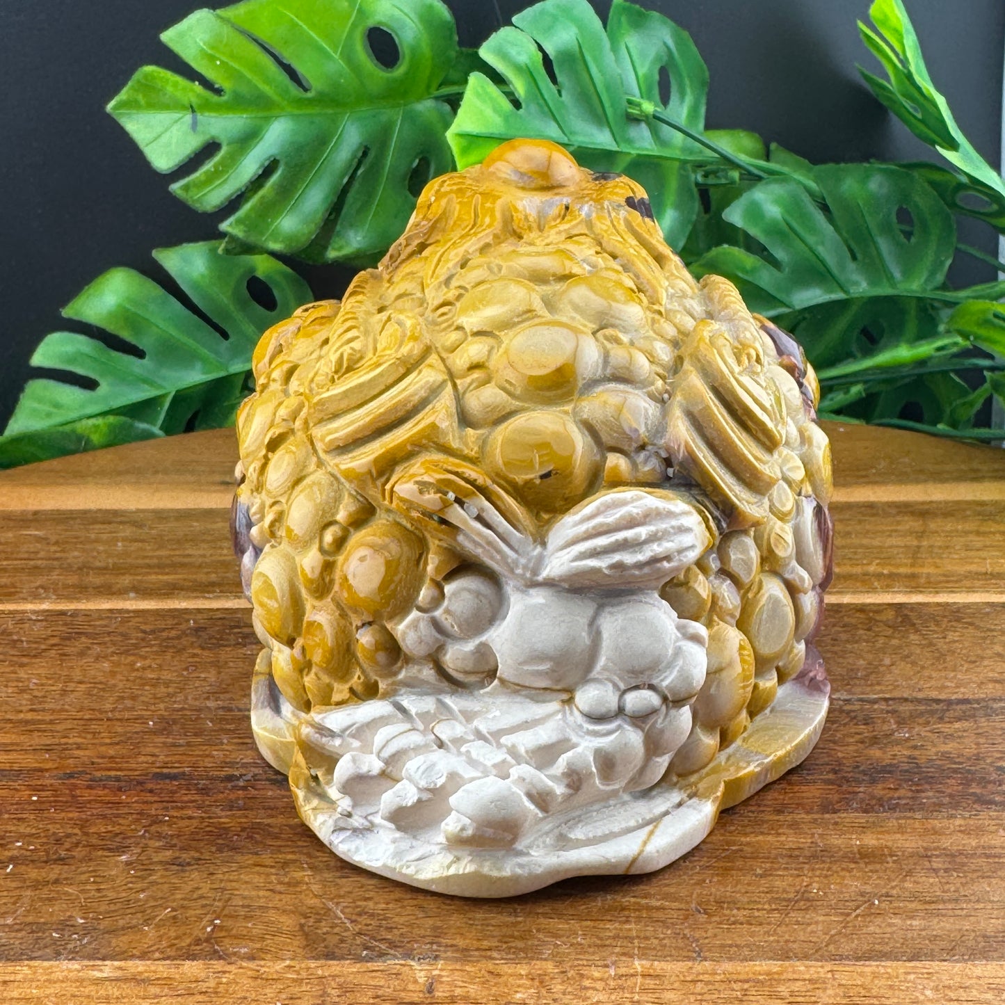 Yellow Mookaite Money Toad