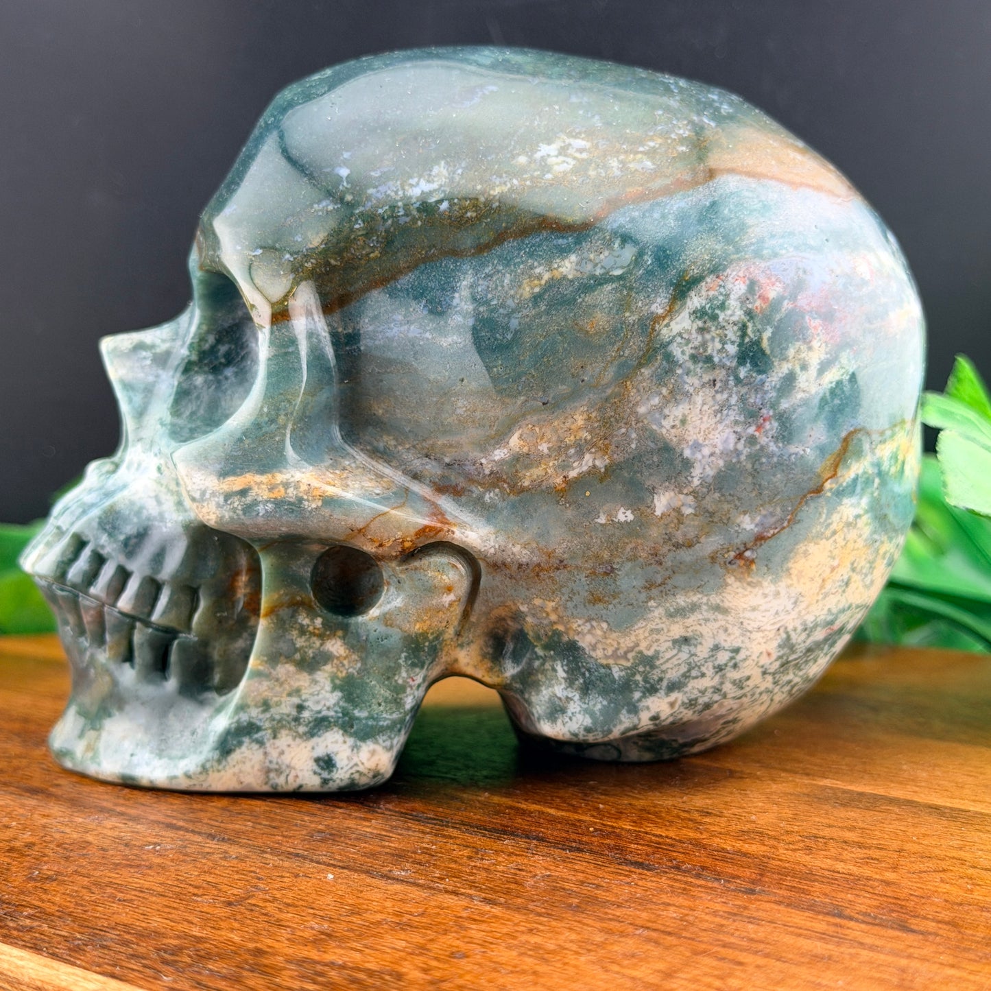 Ocean Jasper Skull