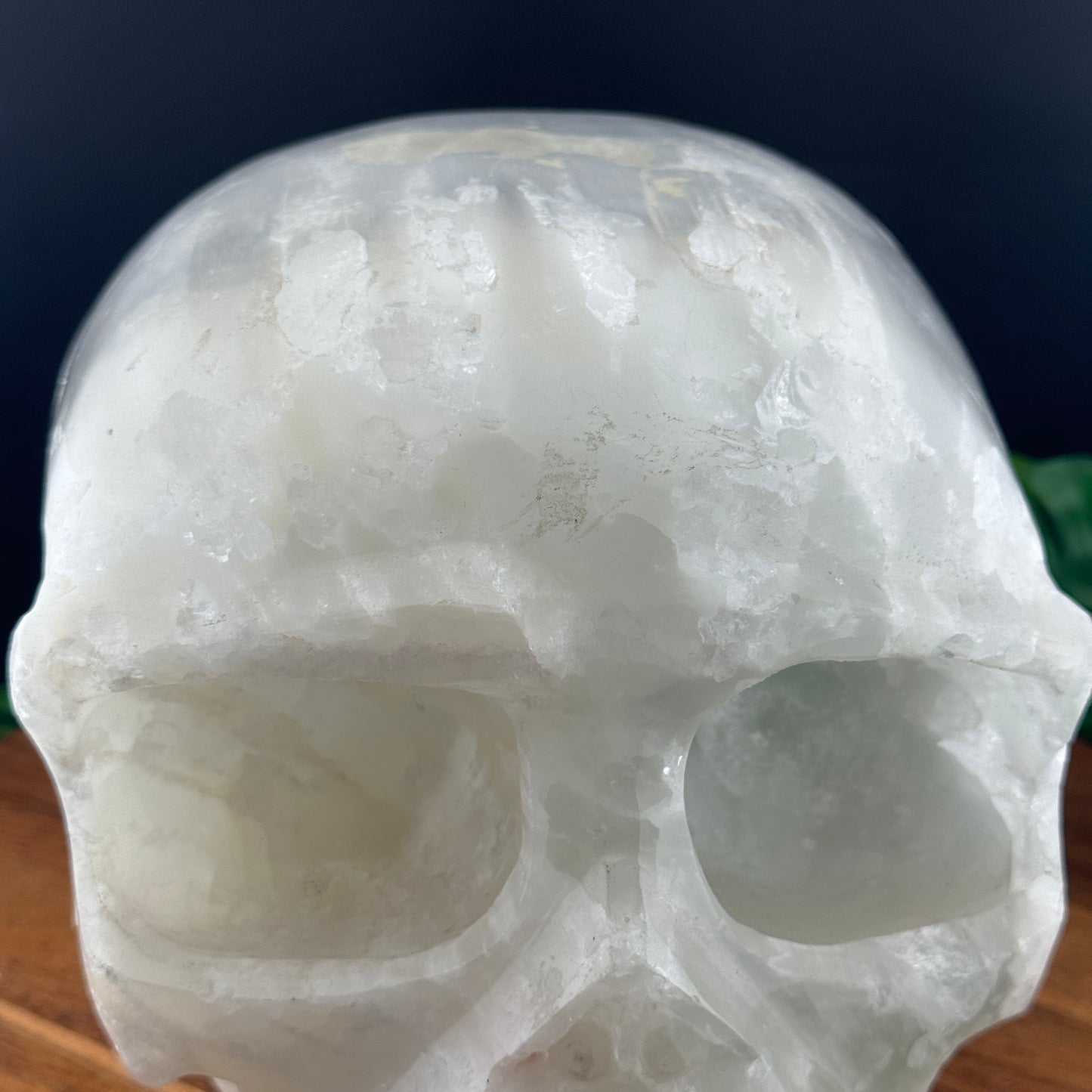 XL Satin Spar Selenite Skull