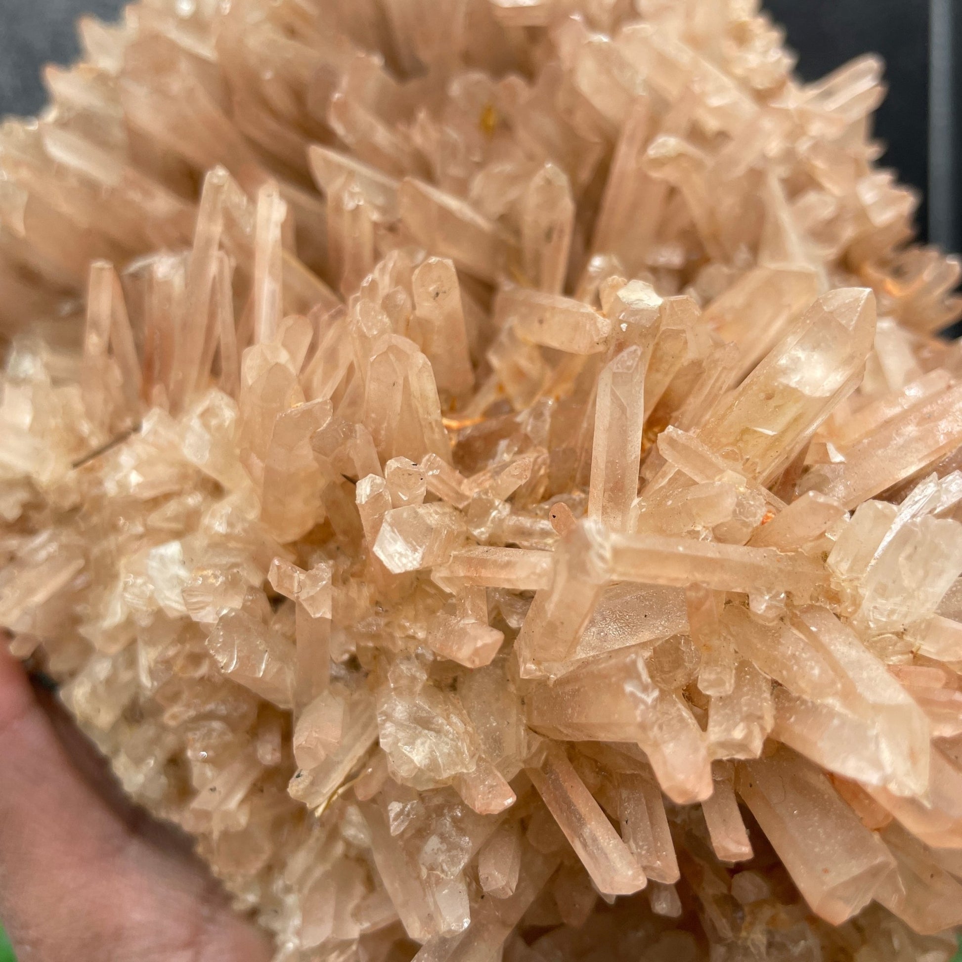 4 lb. Himalayan Quartz Needle Cluster - Sage & Magic