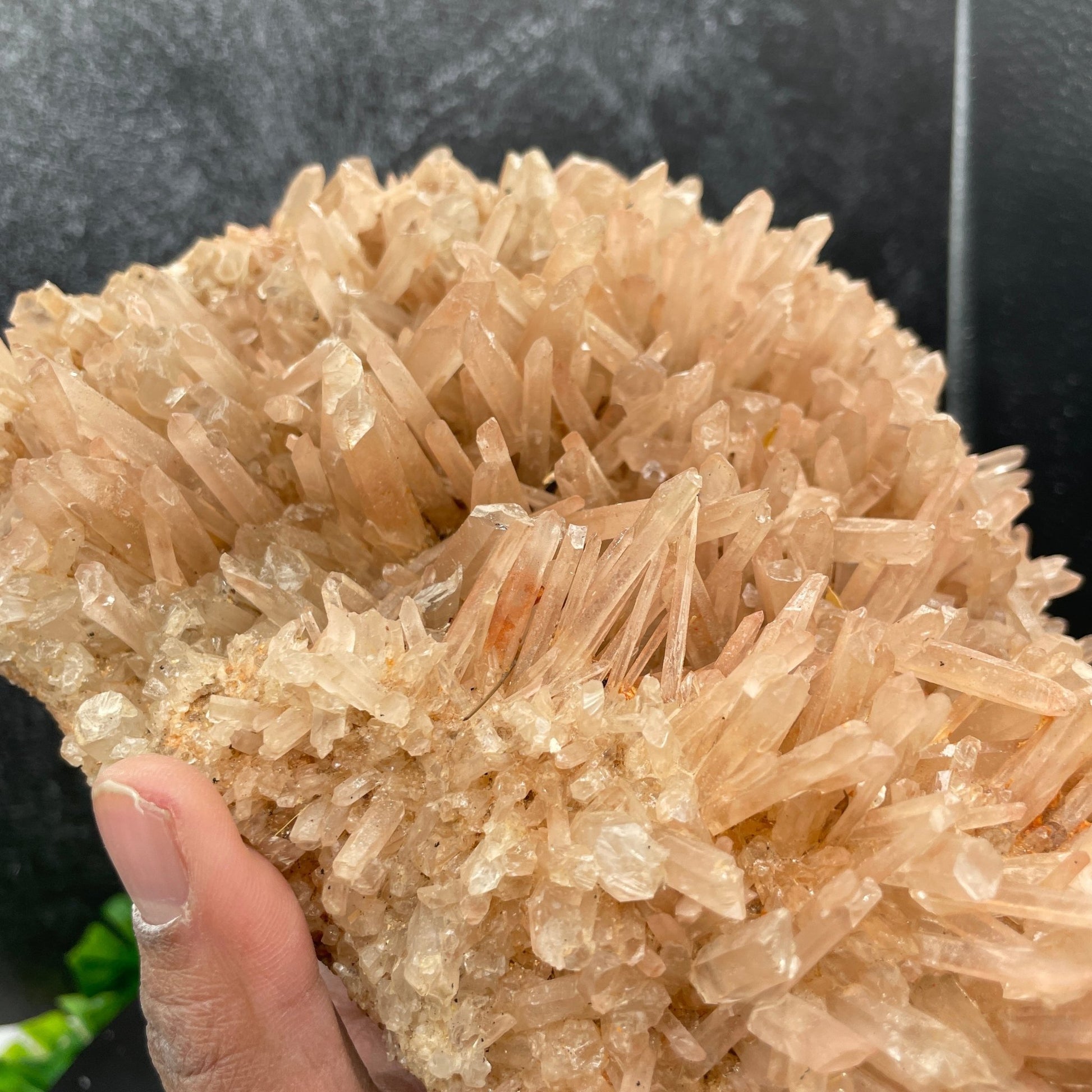 4 lb. Himalayan Quartz Needle Cluster - Sage & Magic