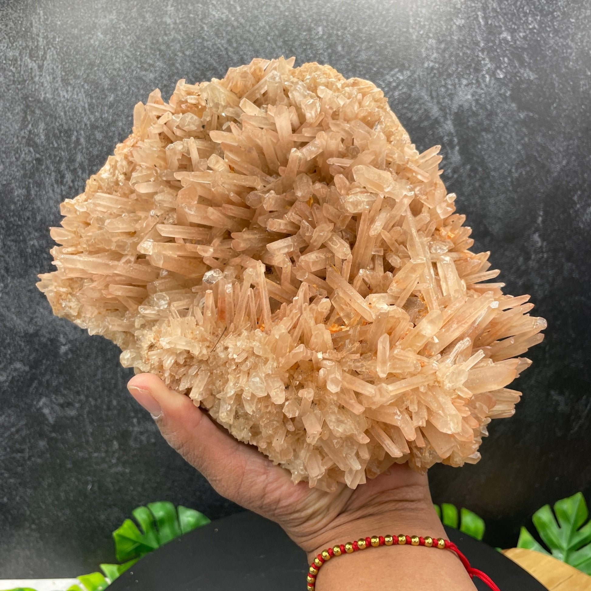 4 lb. Himalayan Quartz Needle Cluster - Sage & Magic