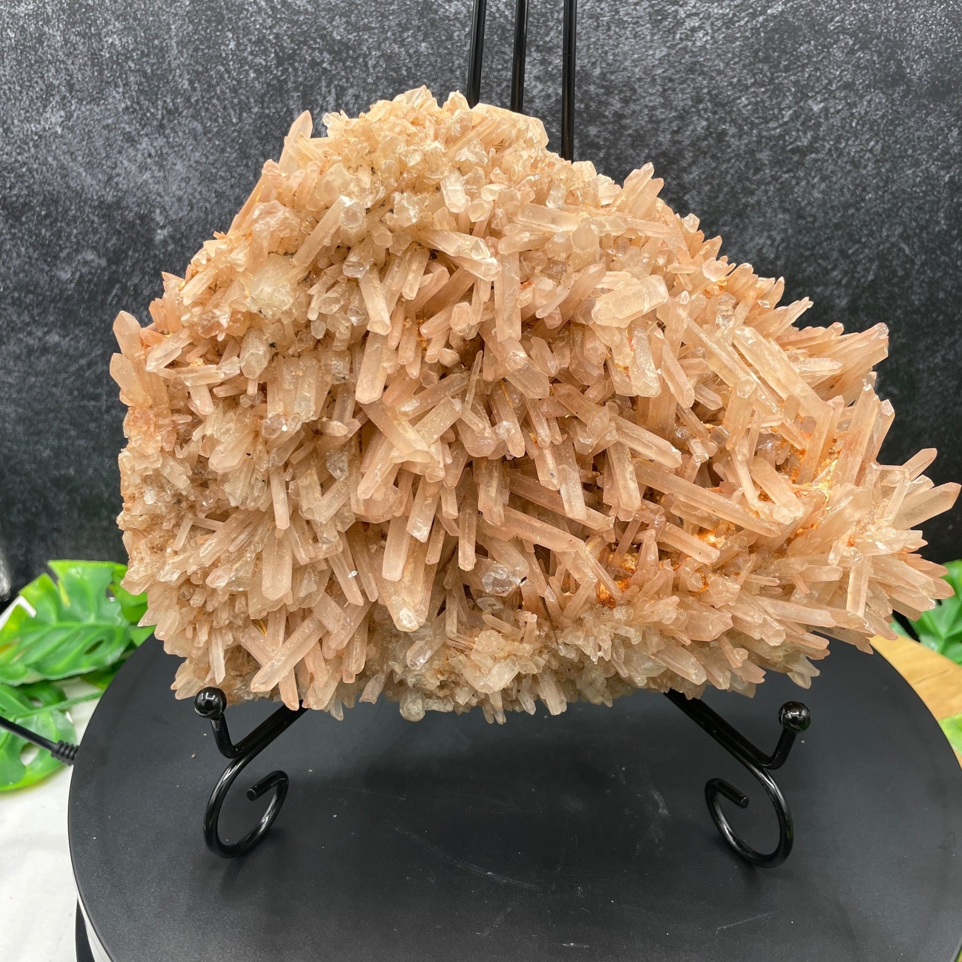 4 lb. Himalayan Quartz Needle Cluster - Sage & Magic