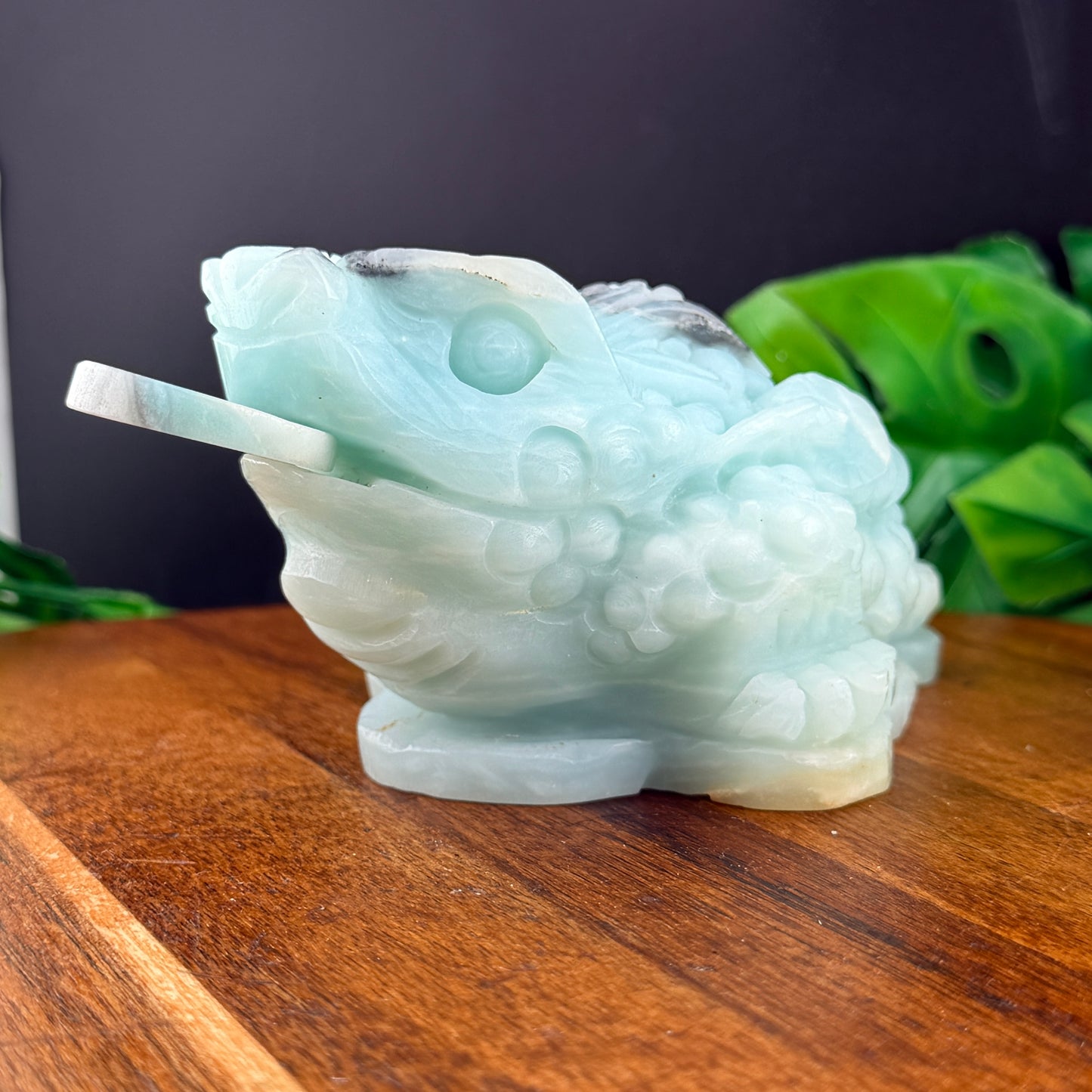 Carribean Calcite Money Toad