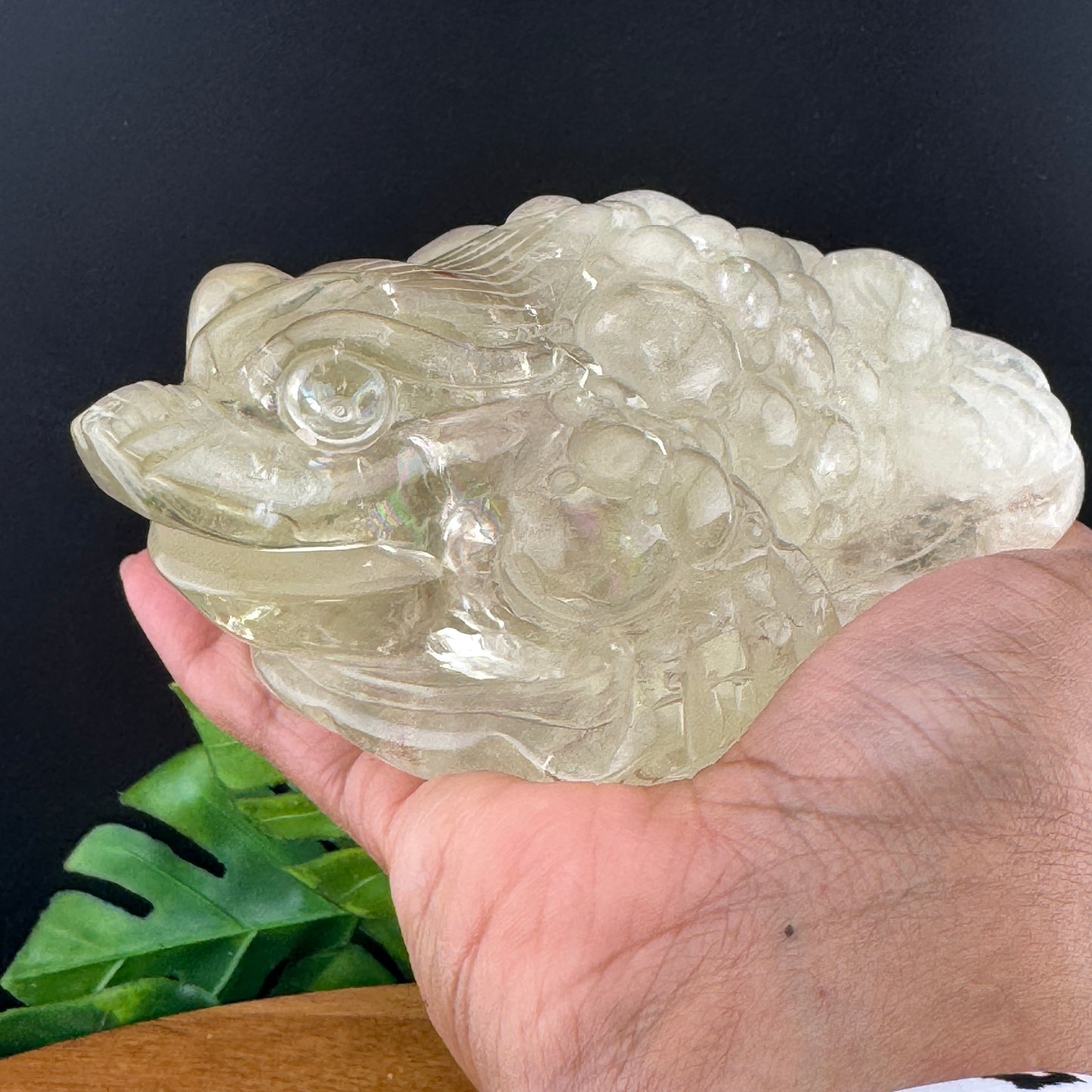 Rainbow Citrine Money Toad