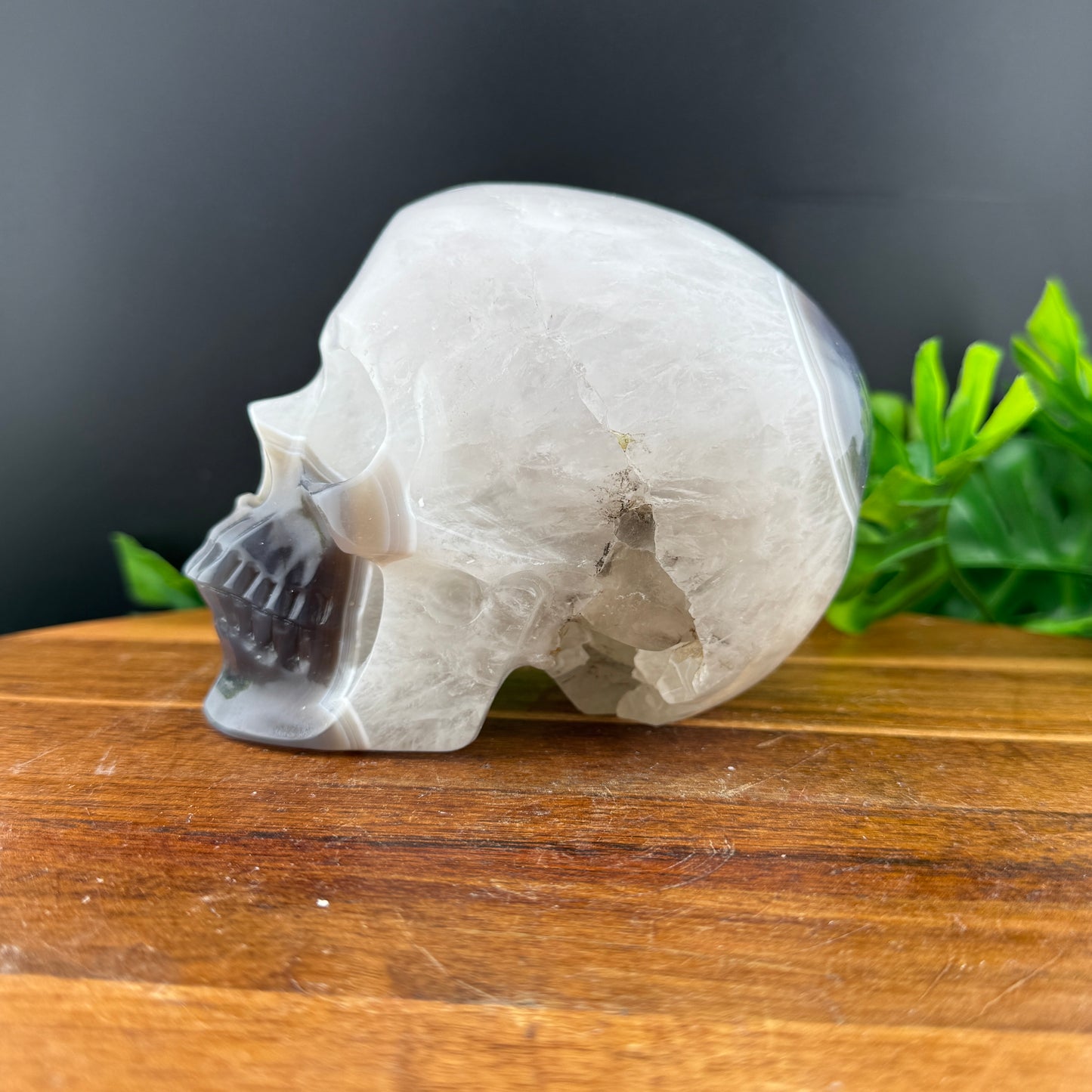 Banded Brazilian Agate Skull