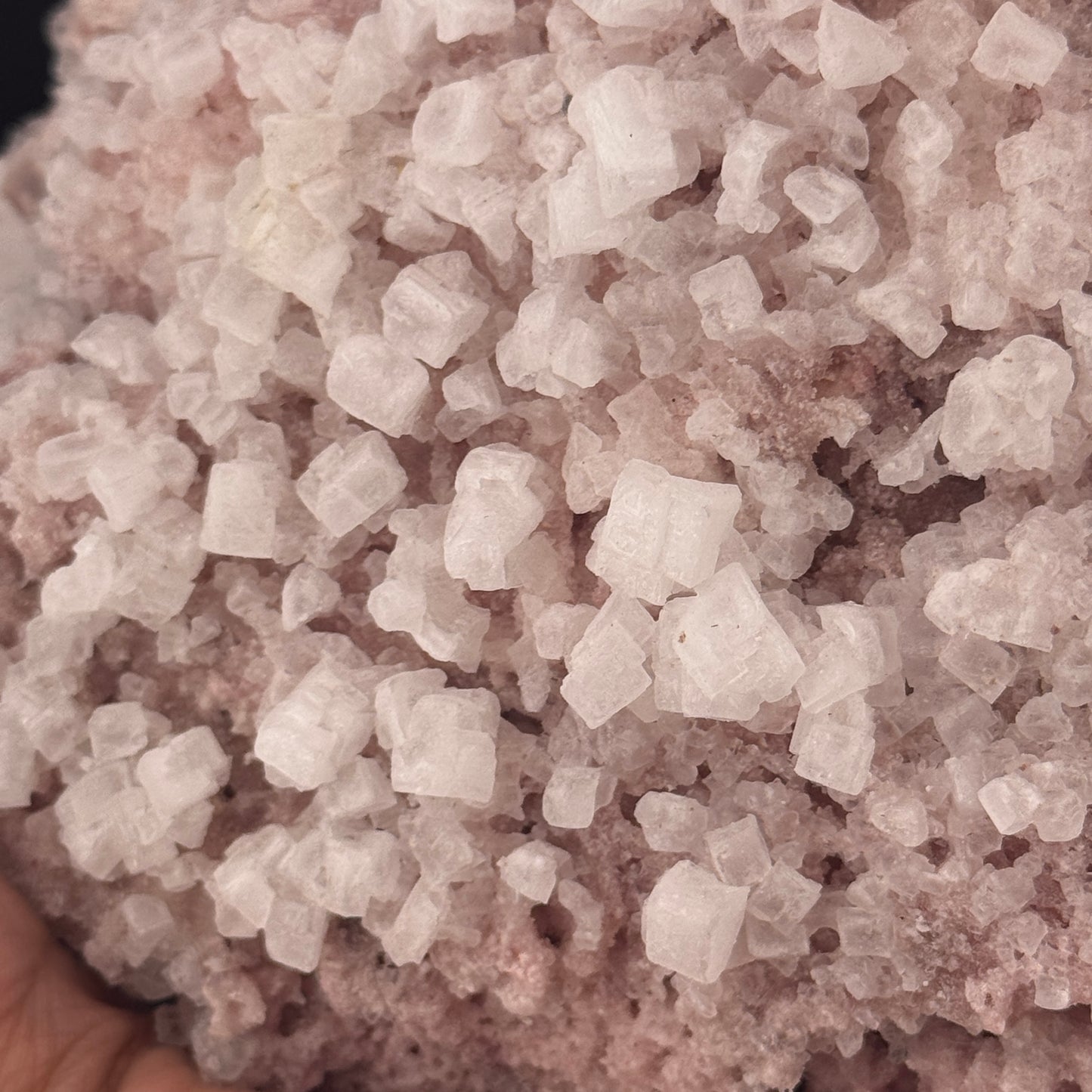 Rose Pink Halite
