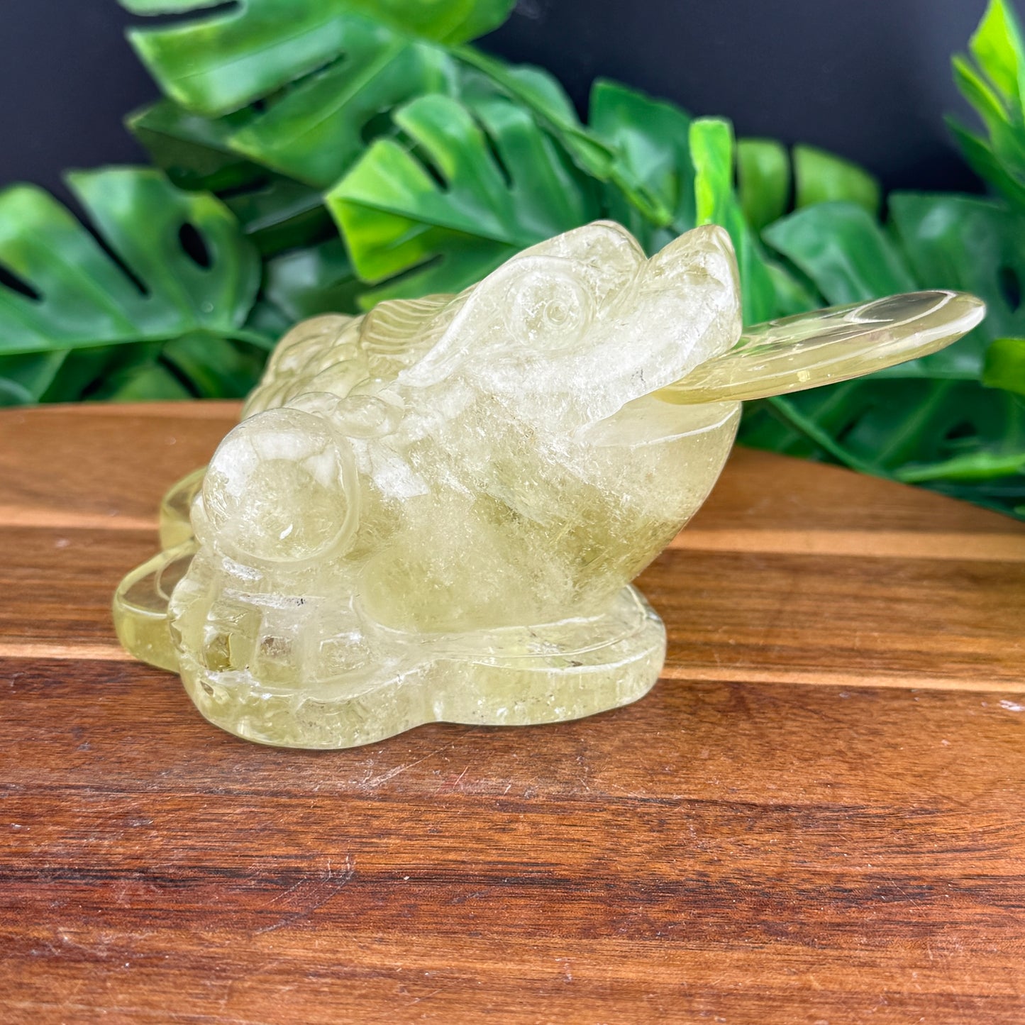HT Citrine Money Toad