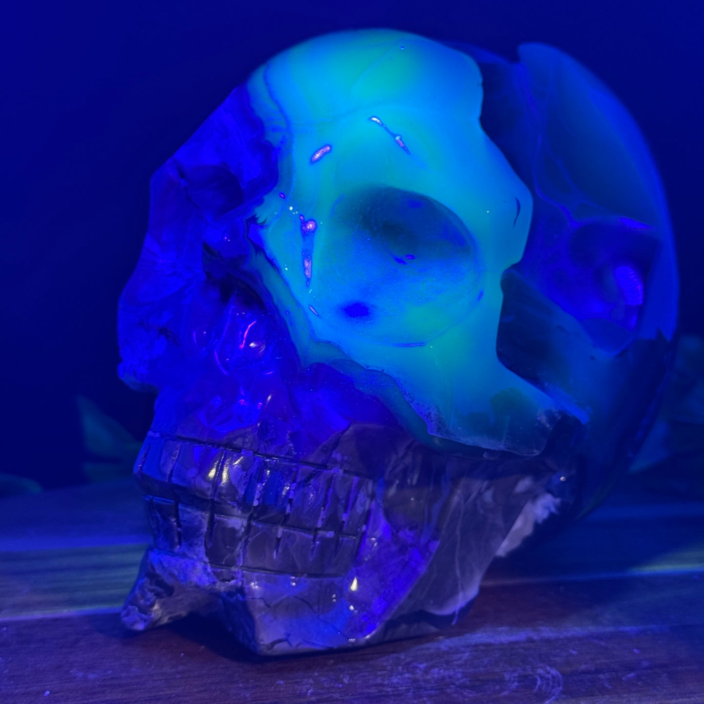 XL Botryoidal Volcano Agate Skull