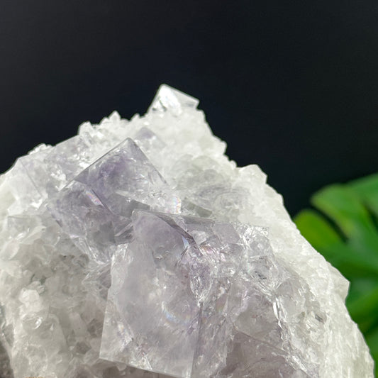 Lavender Cubic Fluorite on Quartz