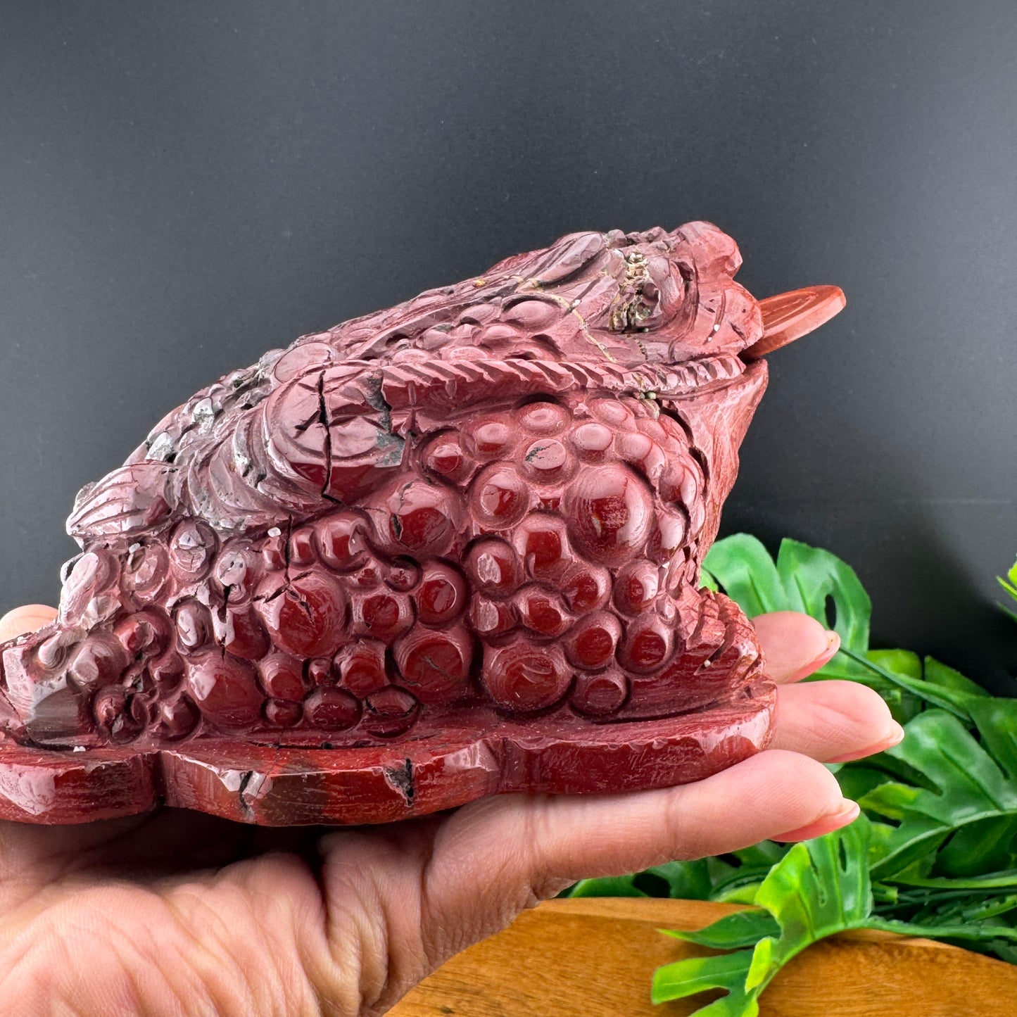 Red Mookaite Money Toad