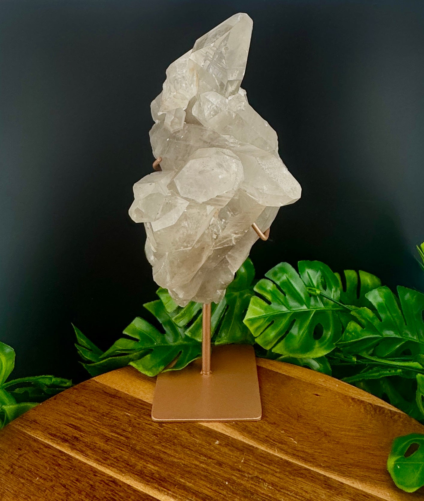 Beautiful Smoky Lemurian On Stand