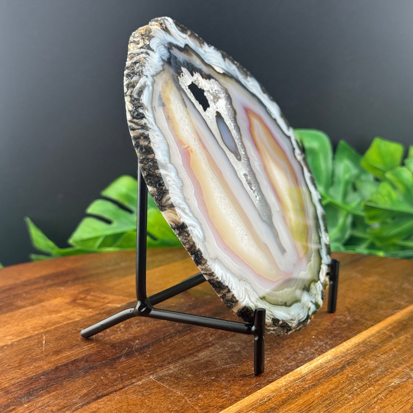 Beautiful Agate Geode Slice with Stand