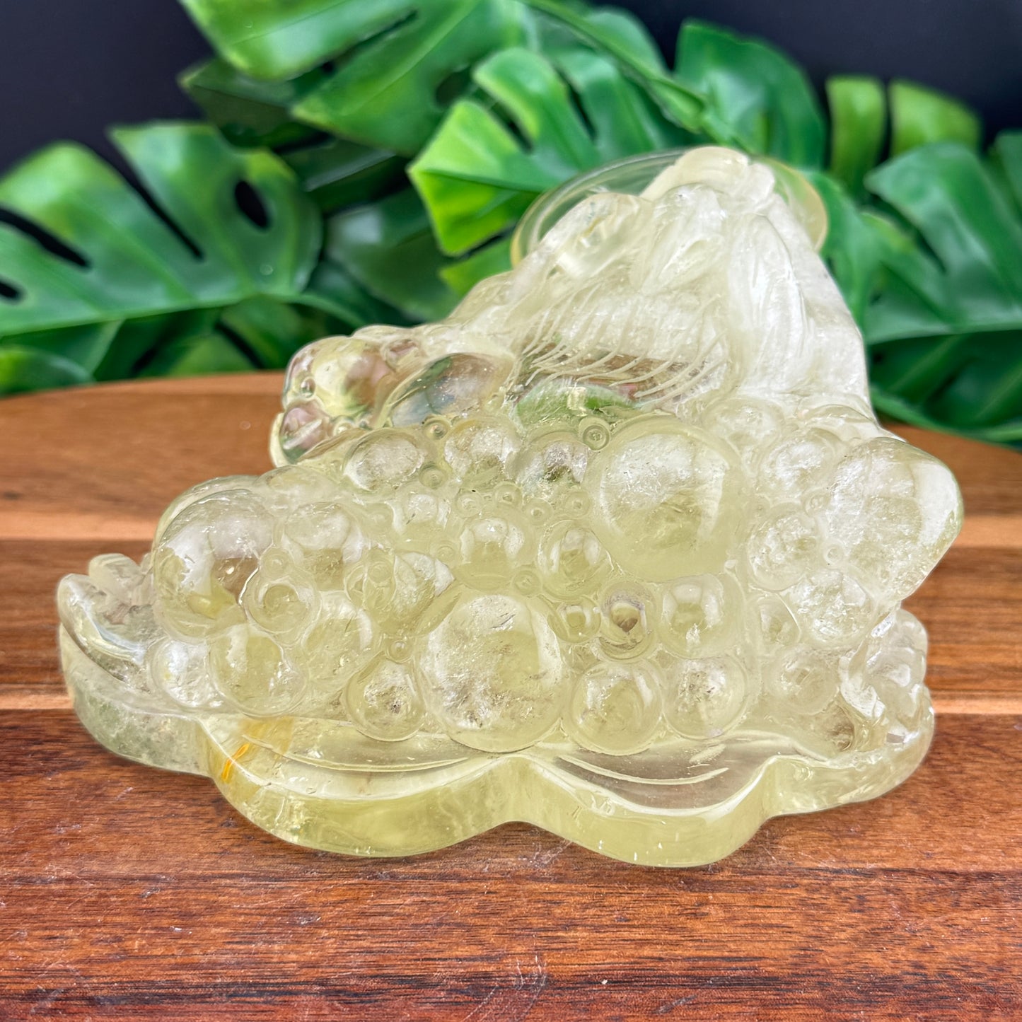 HT Citrine Money Toad