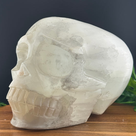 XL Satin Spar Selenite Skull