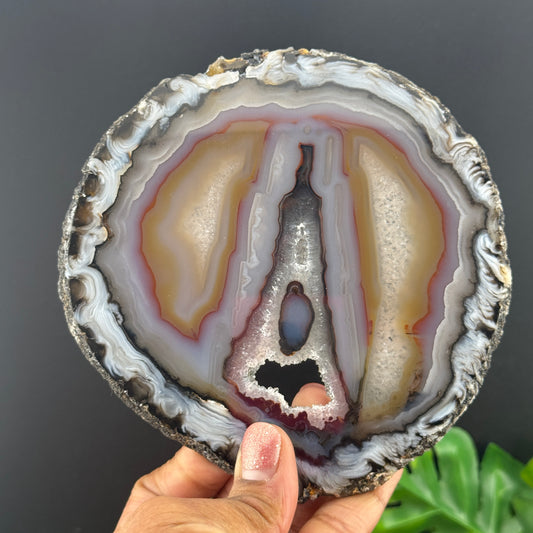 Beautiful Agate Geode Slice with Stand