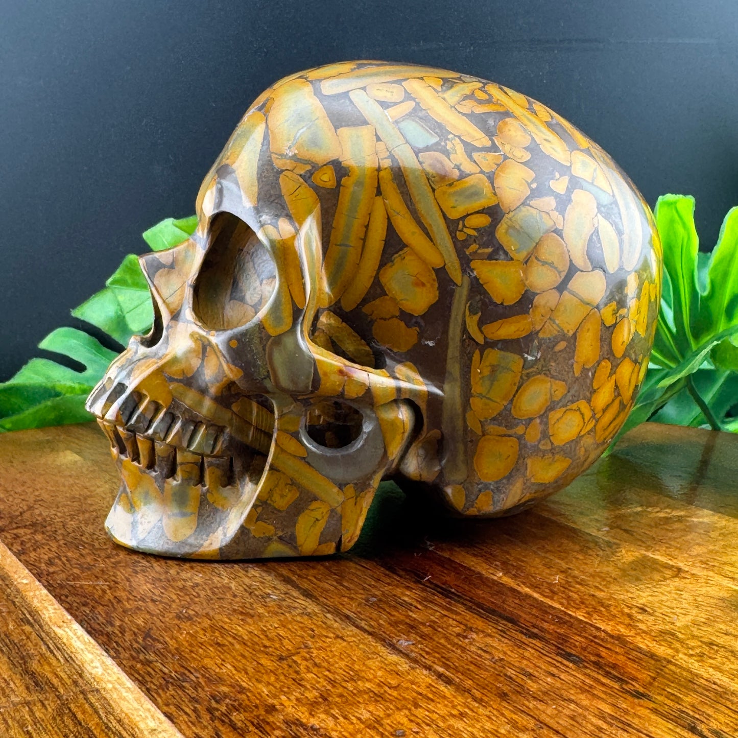 Bamboo Leaf Jasper Skull
