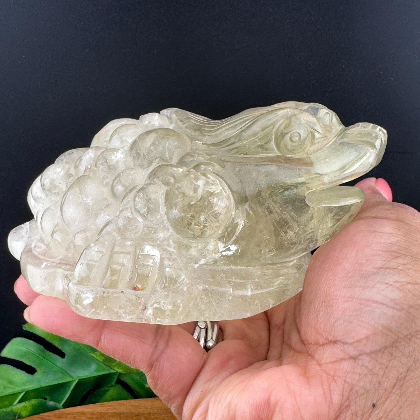 Rainbow Citrine Money Toad
