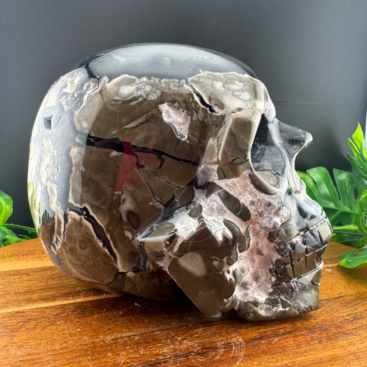 XL Botryoidal Volcano Agate Skull