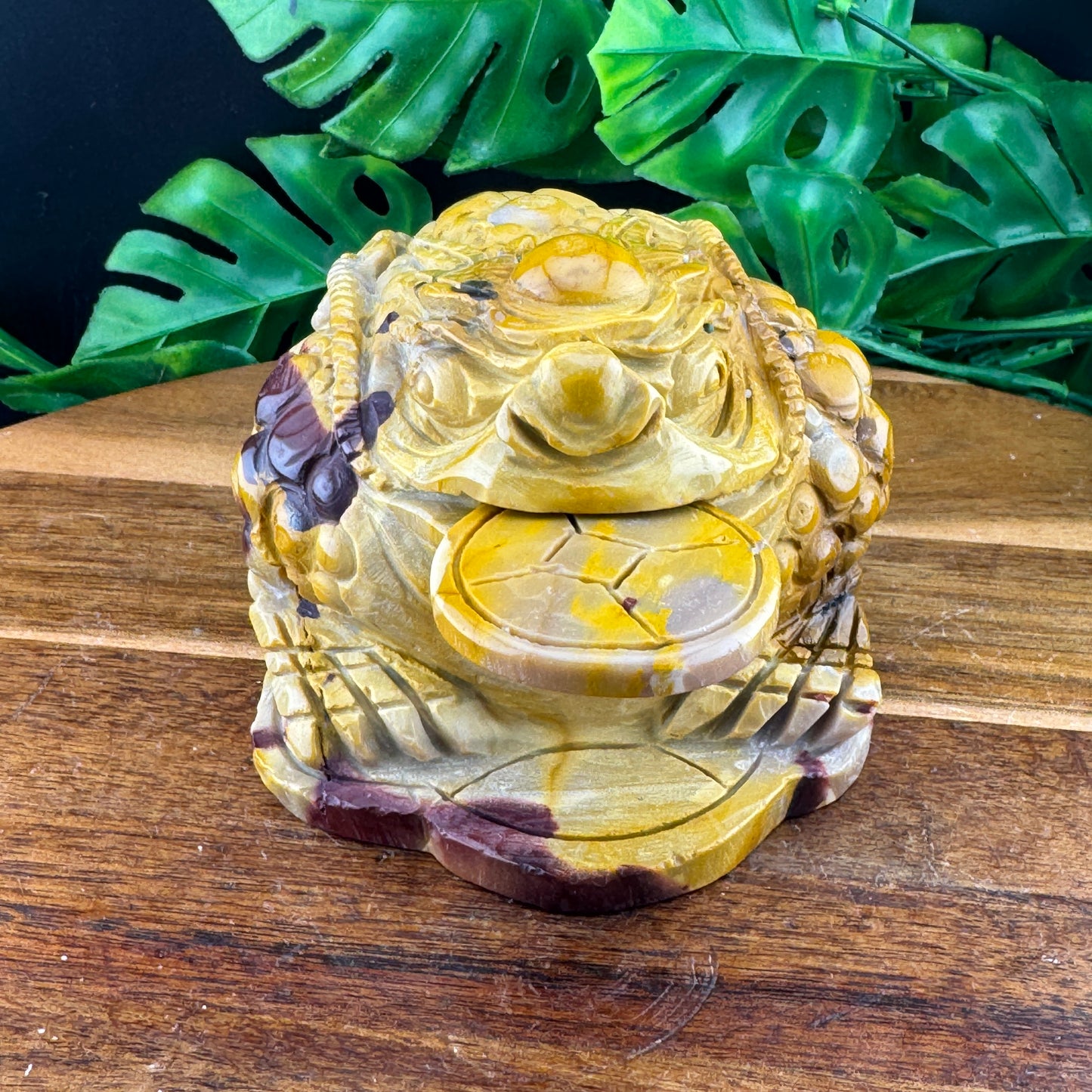 Yellow Mookaite Money Toad