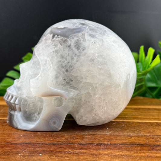 Banded Brazilian Agate Skull
