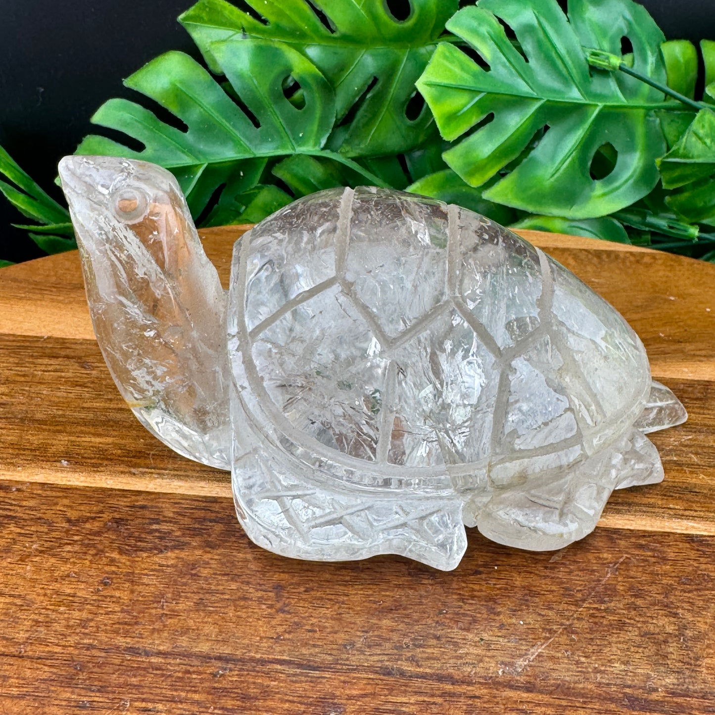 Clear Quartz Large Turtle Carving