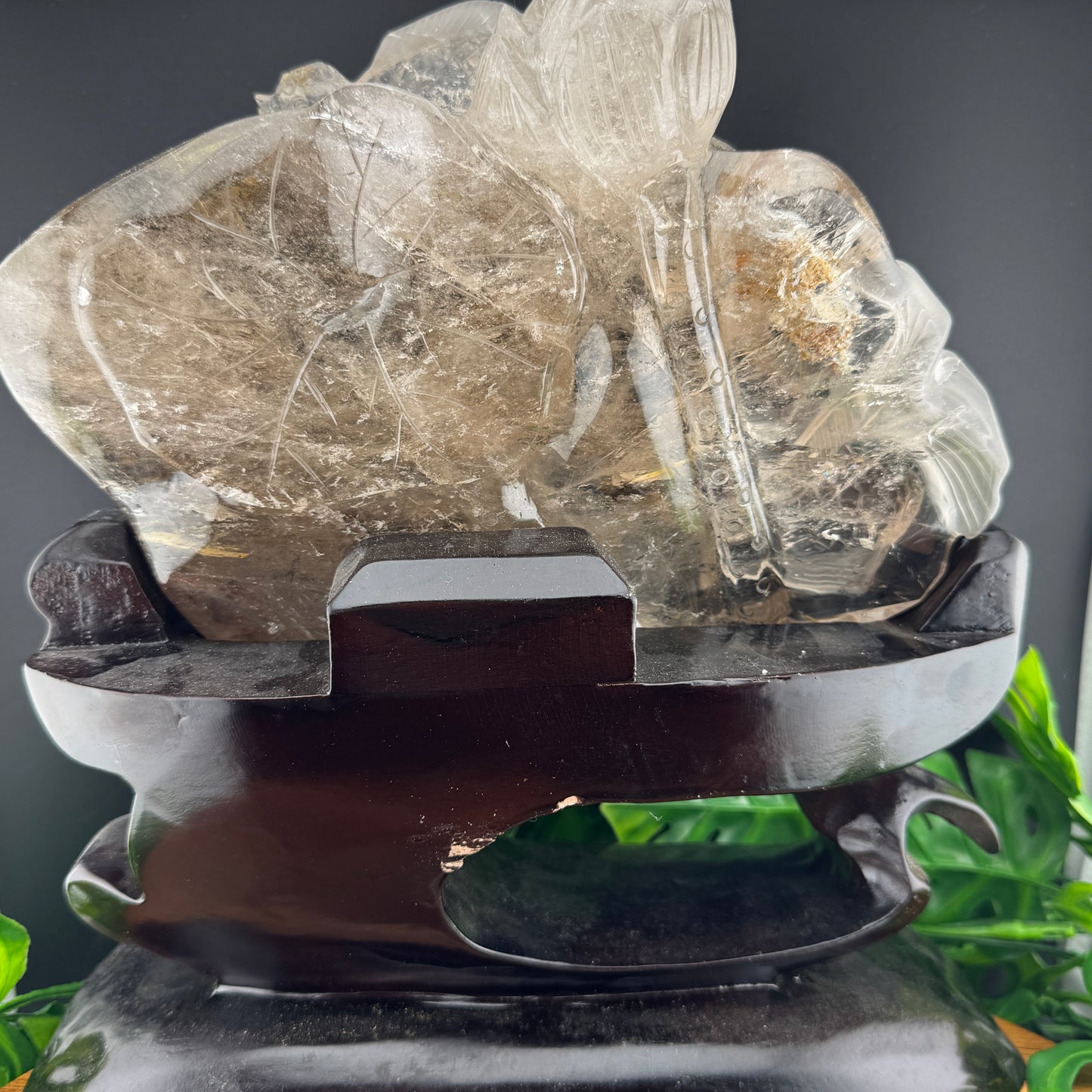 Gold Rutile in Quartz Goldfish Carving on Wood Stand