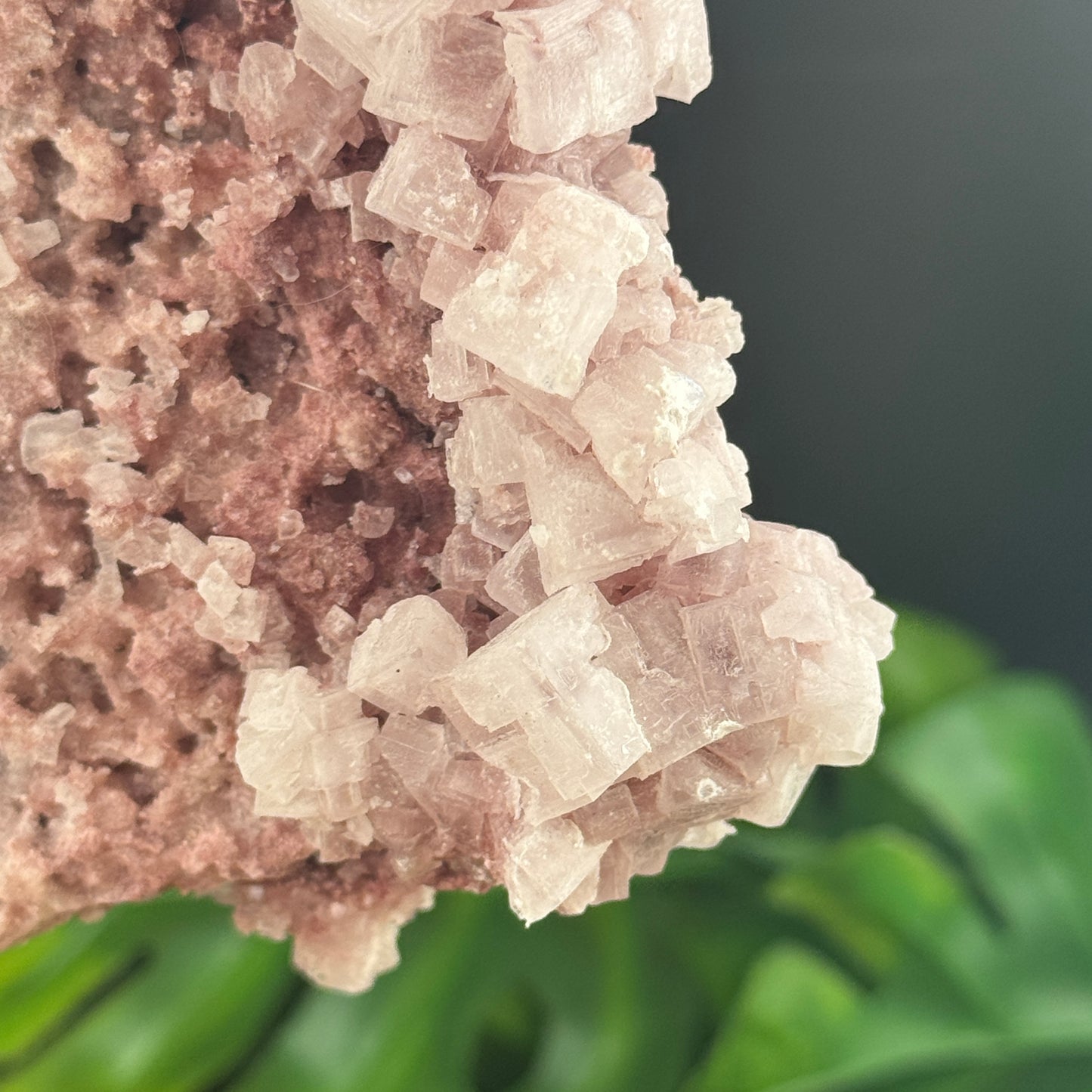 Rose Pink Halite